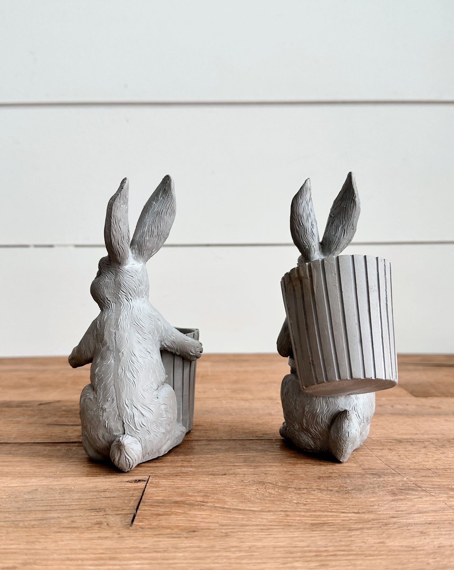 Bunny with a Bucket