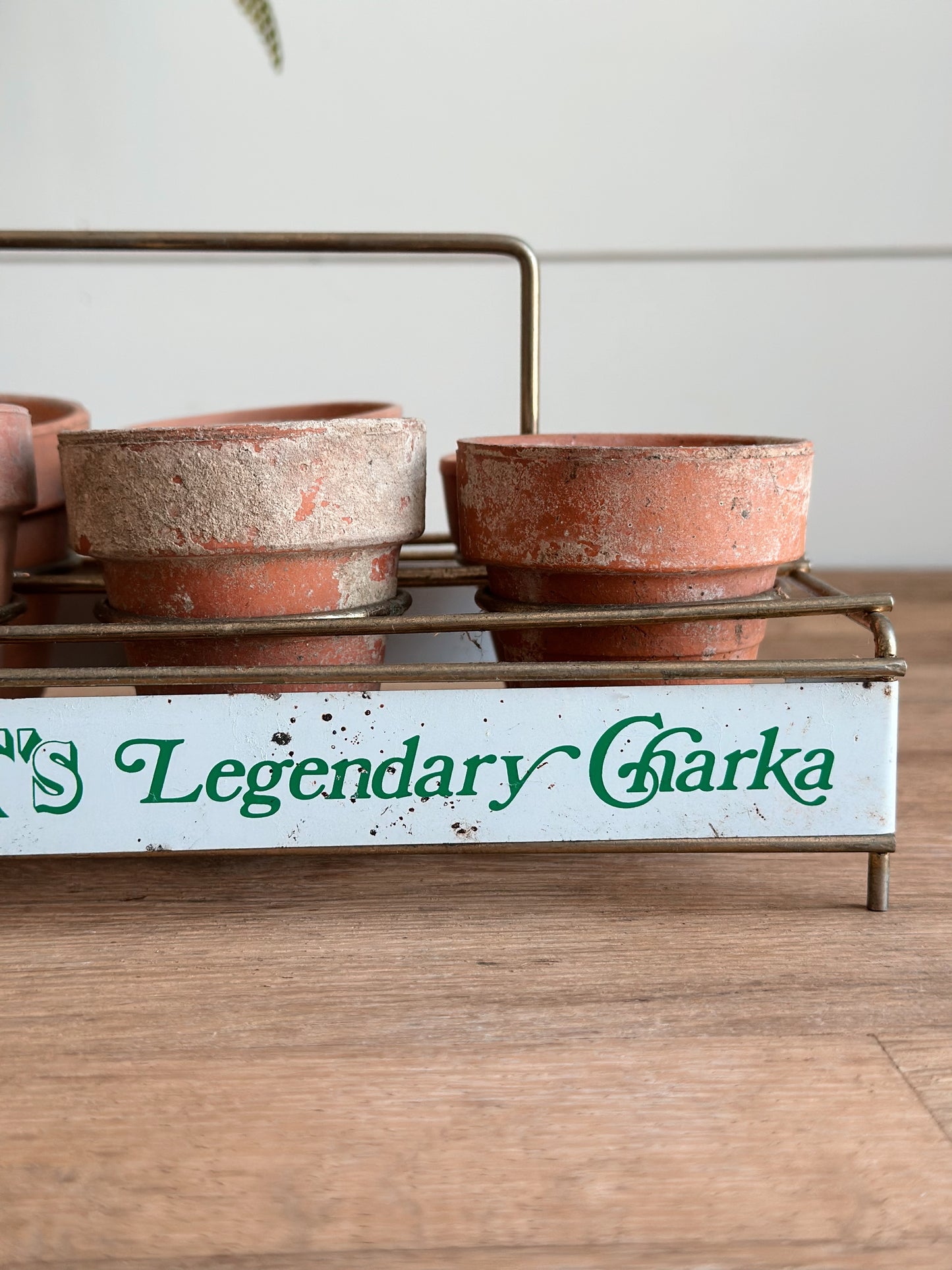 Vintage Wolfschmid’s Tray & Seedling Pots