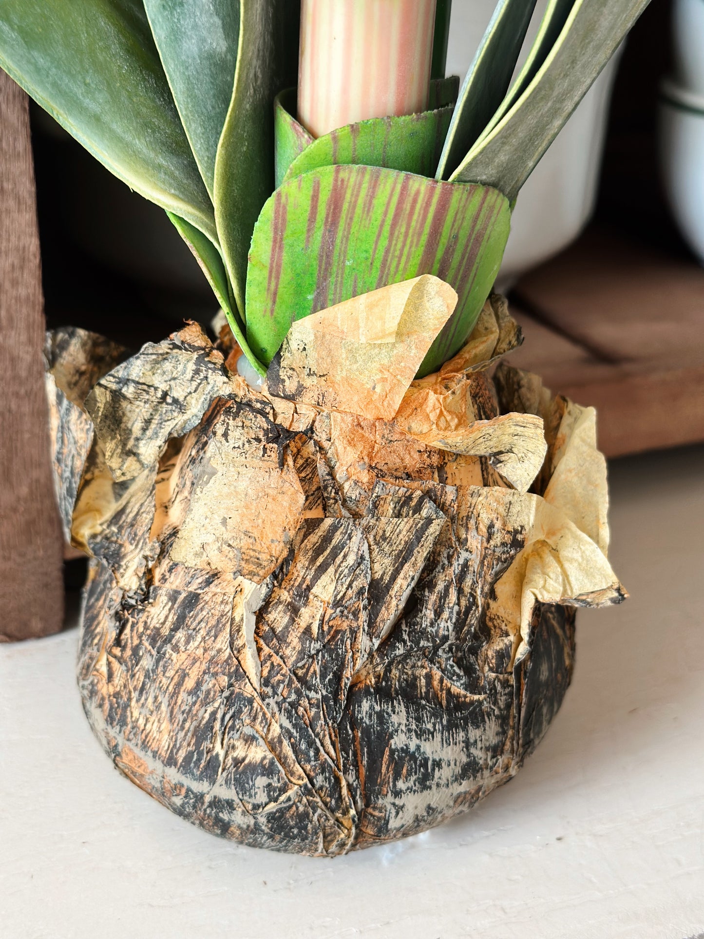 Red Amaryllis with Bulb