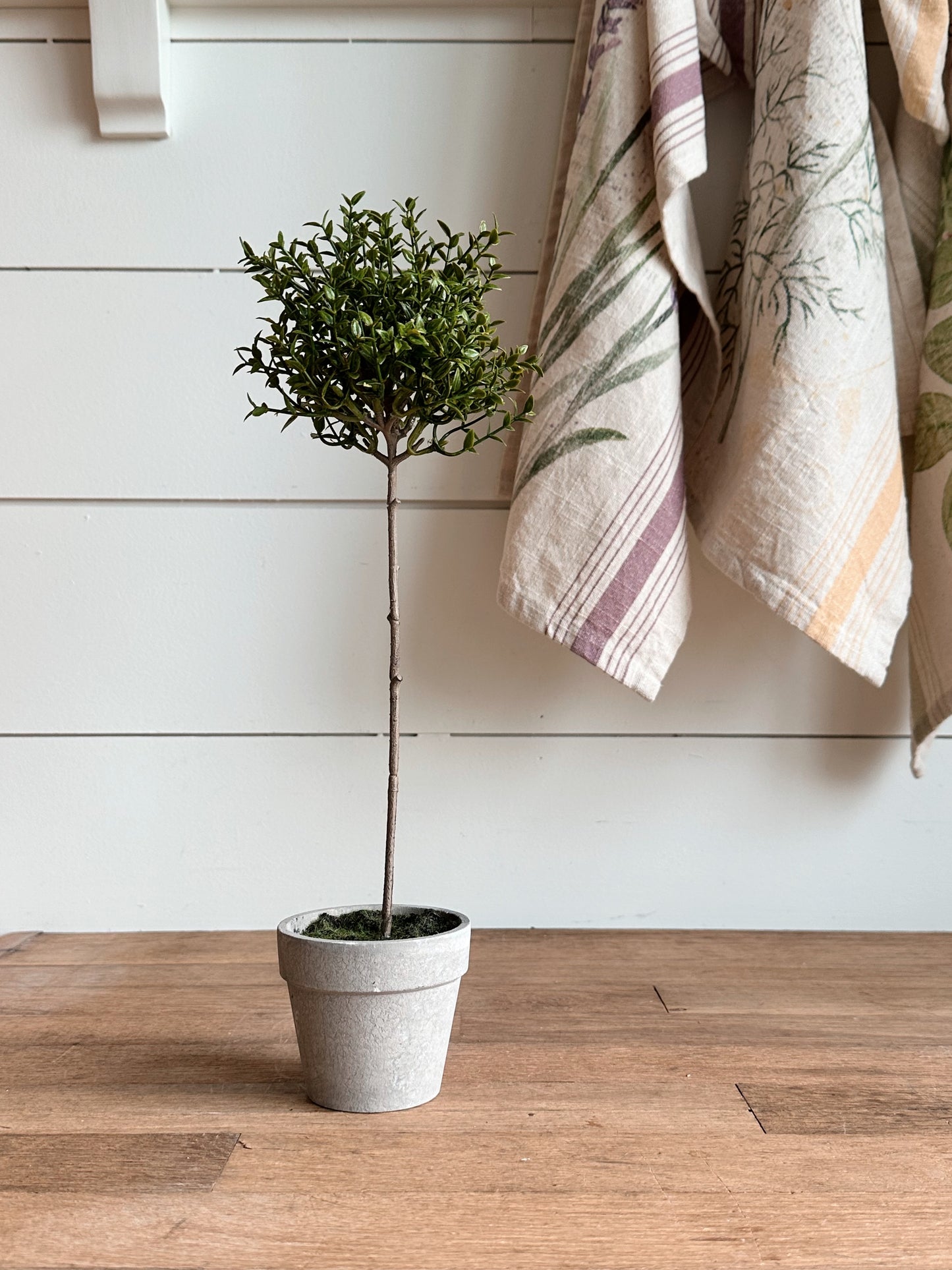 Faux Thyme Topiary