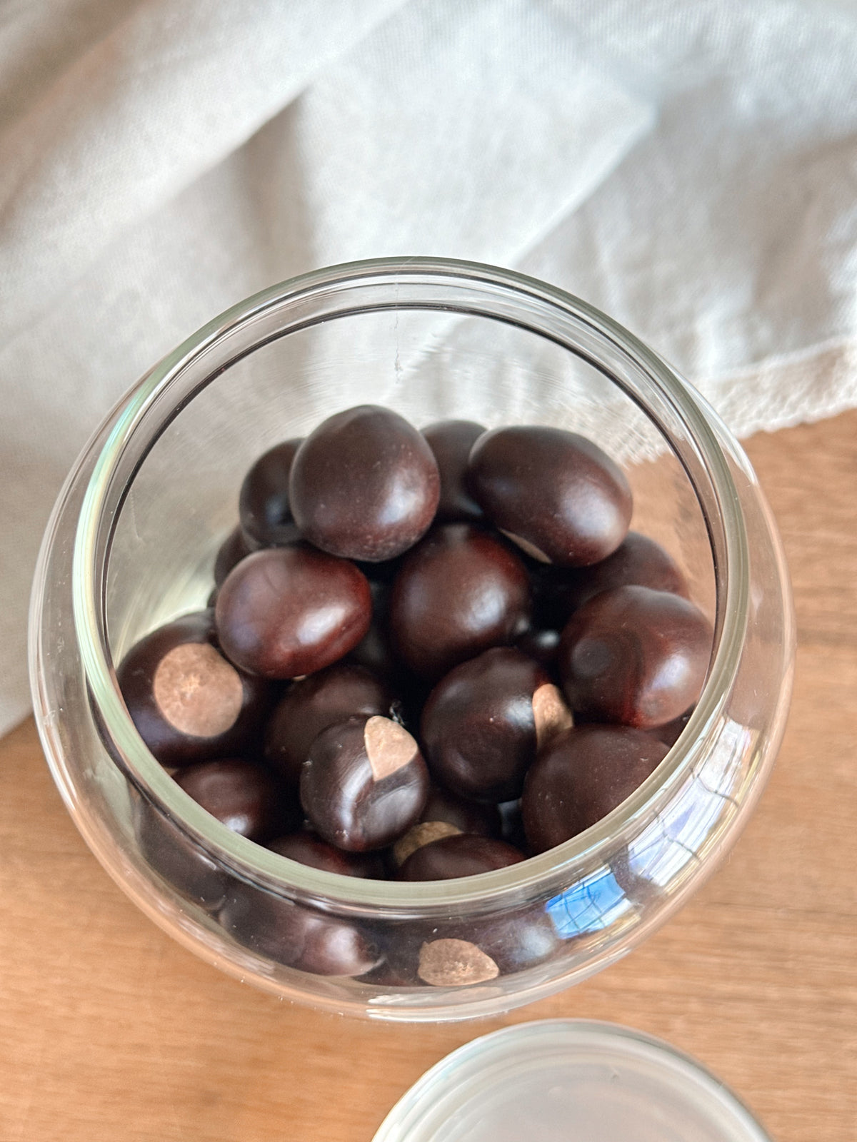 Collection of Chestnuts in a Glass Canister