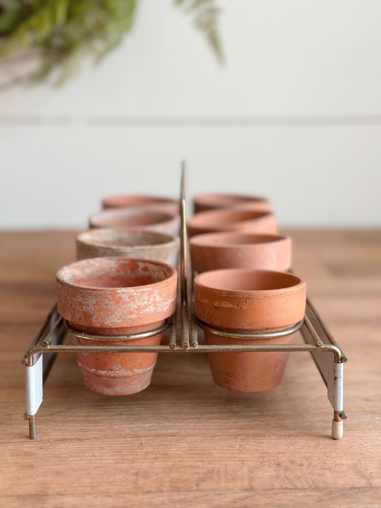 Vintage Wolfschmid’s Tray & Seedling Pots