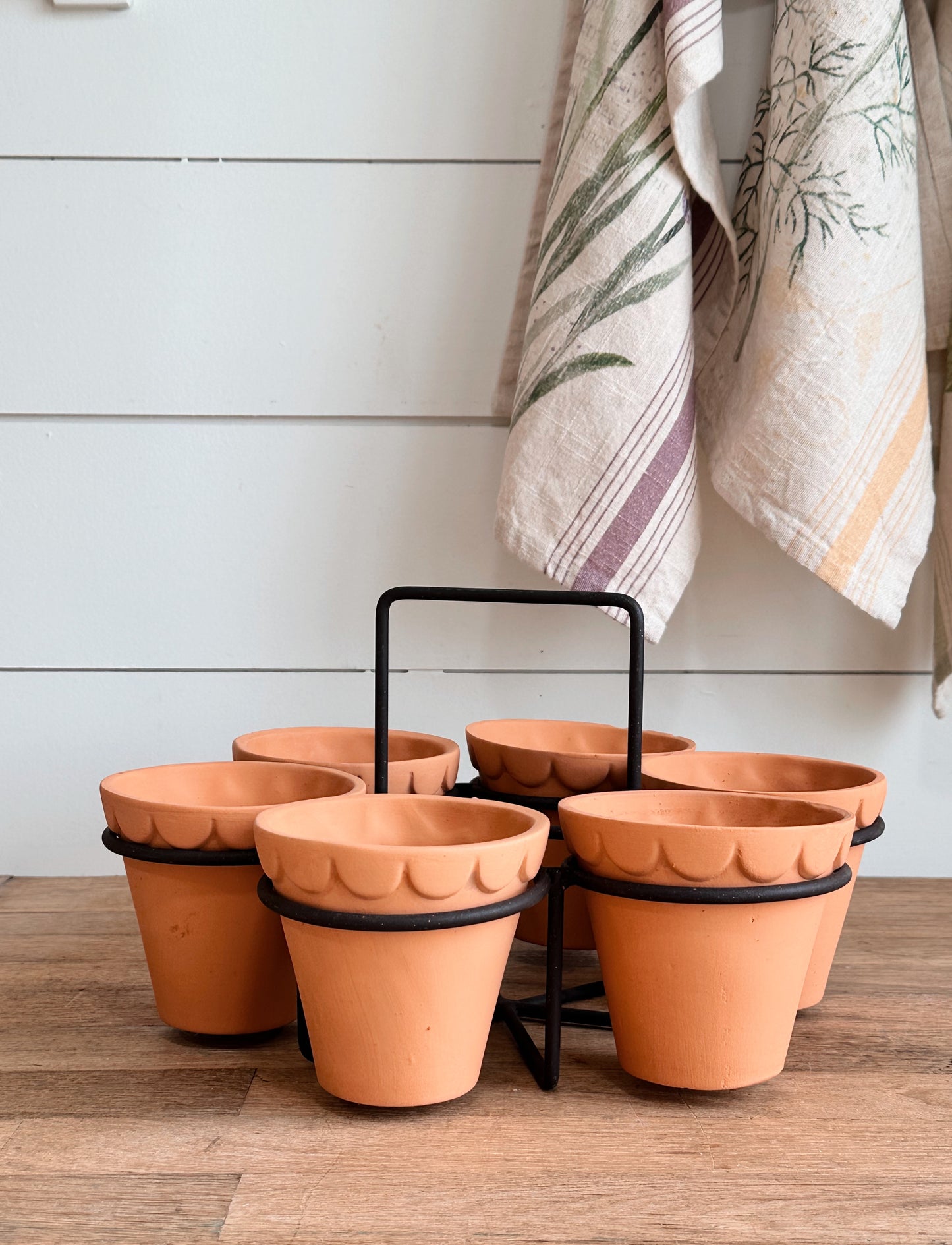 Scalloped Terracotta Pot Caddy