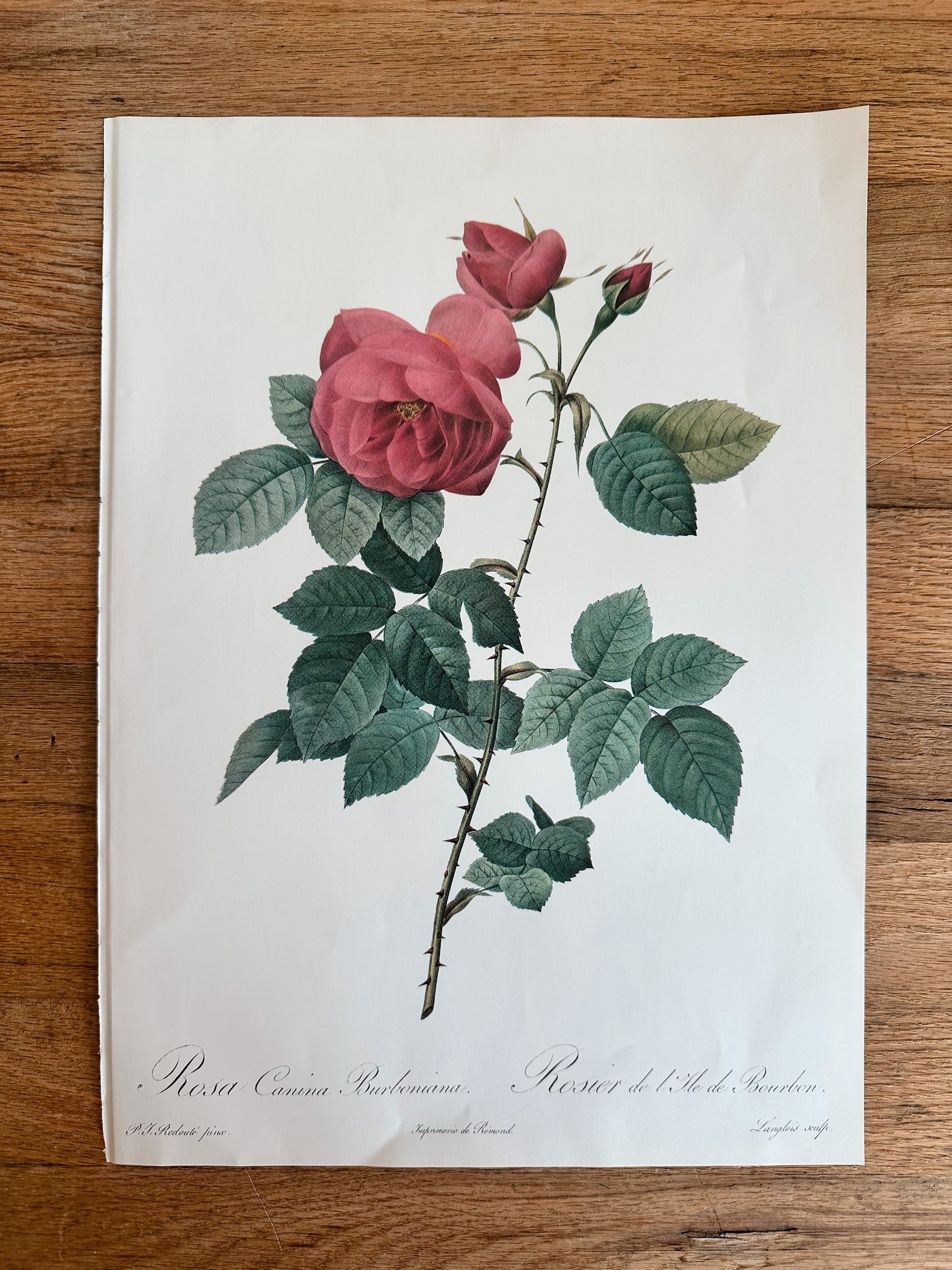 Authentic Vintage Botanicals, multiple varieties