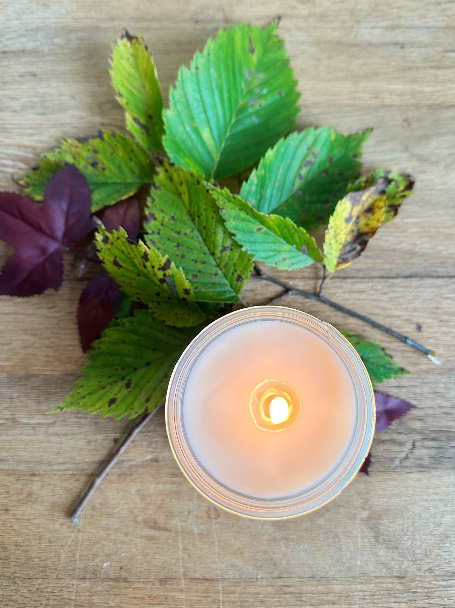 Hand Poured Woodland Berry Candle