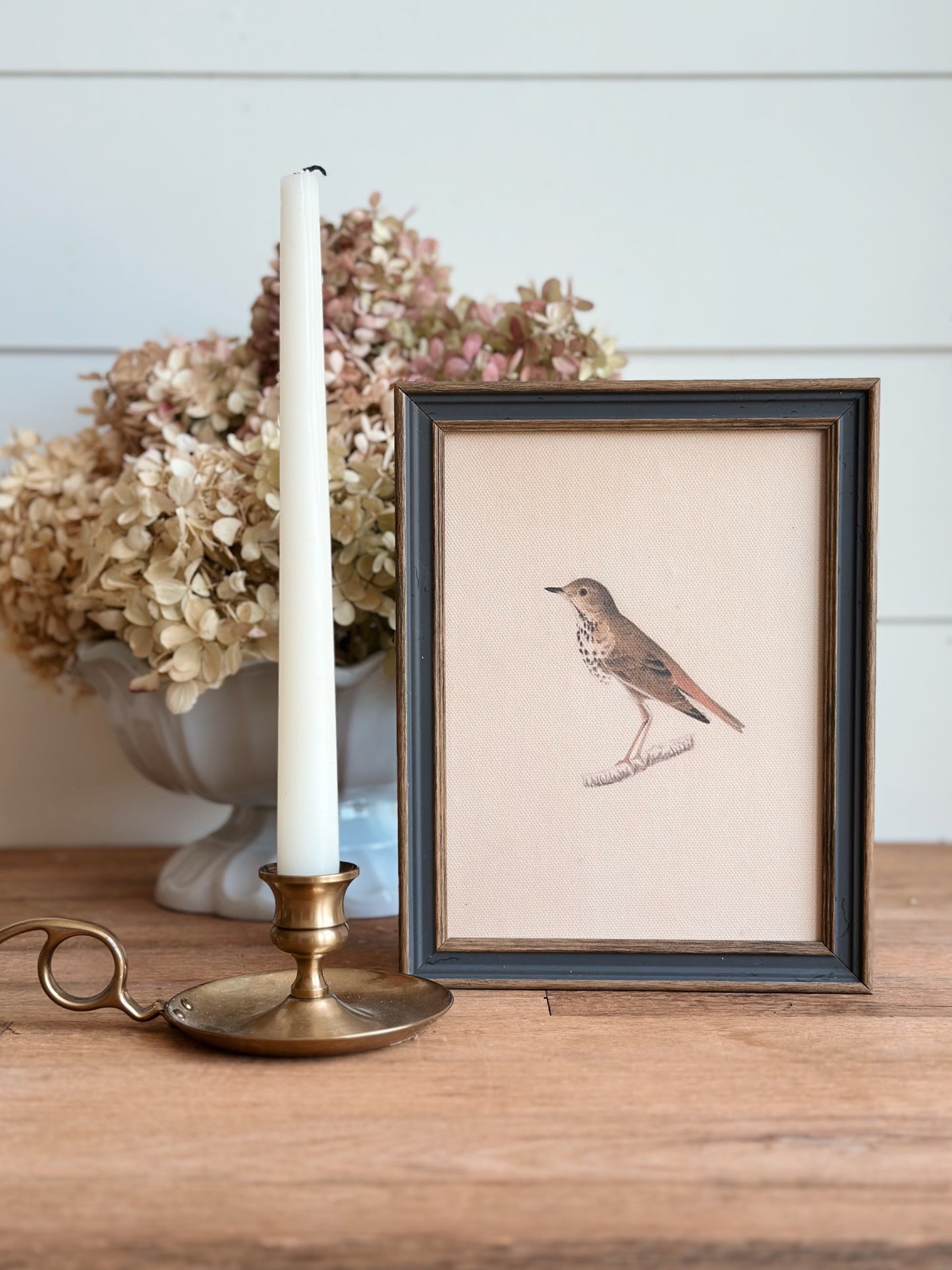 Framed Bird on Canvas