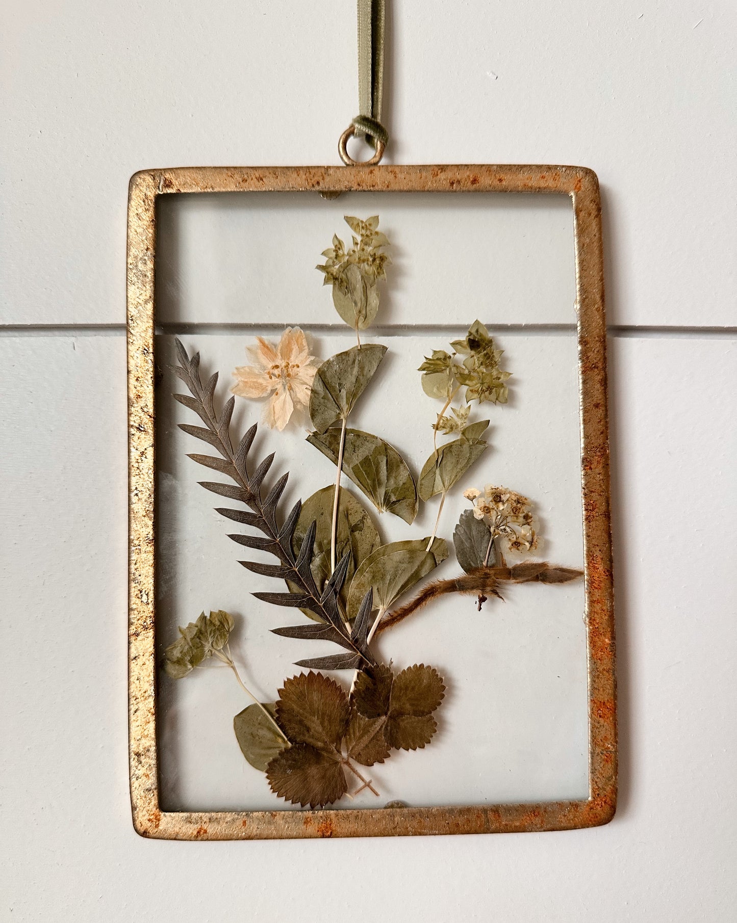 Pressed Floral Hanging Frames