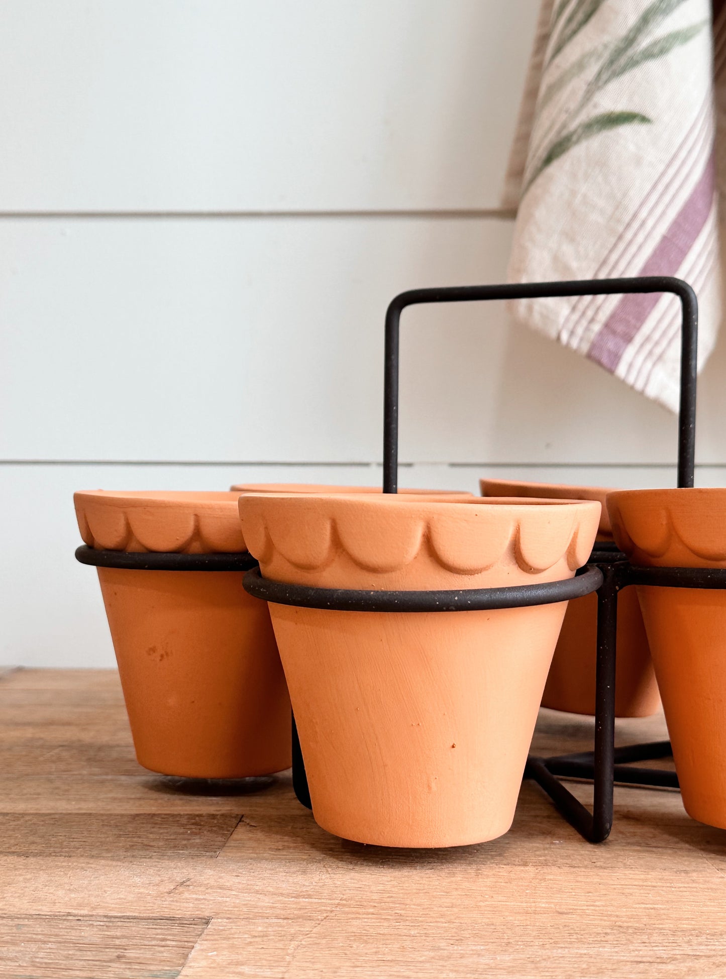 Scalloped Terracotta Pot Caddy