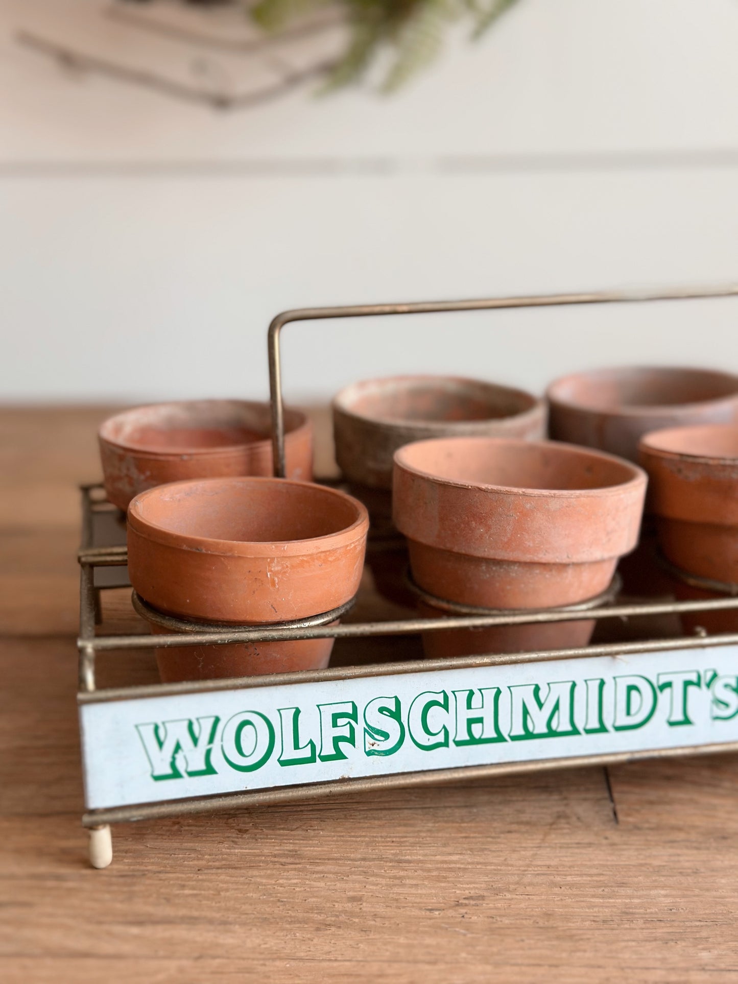 Vintage Wolfschmid’s Tray & Seedling Pots