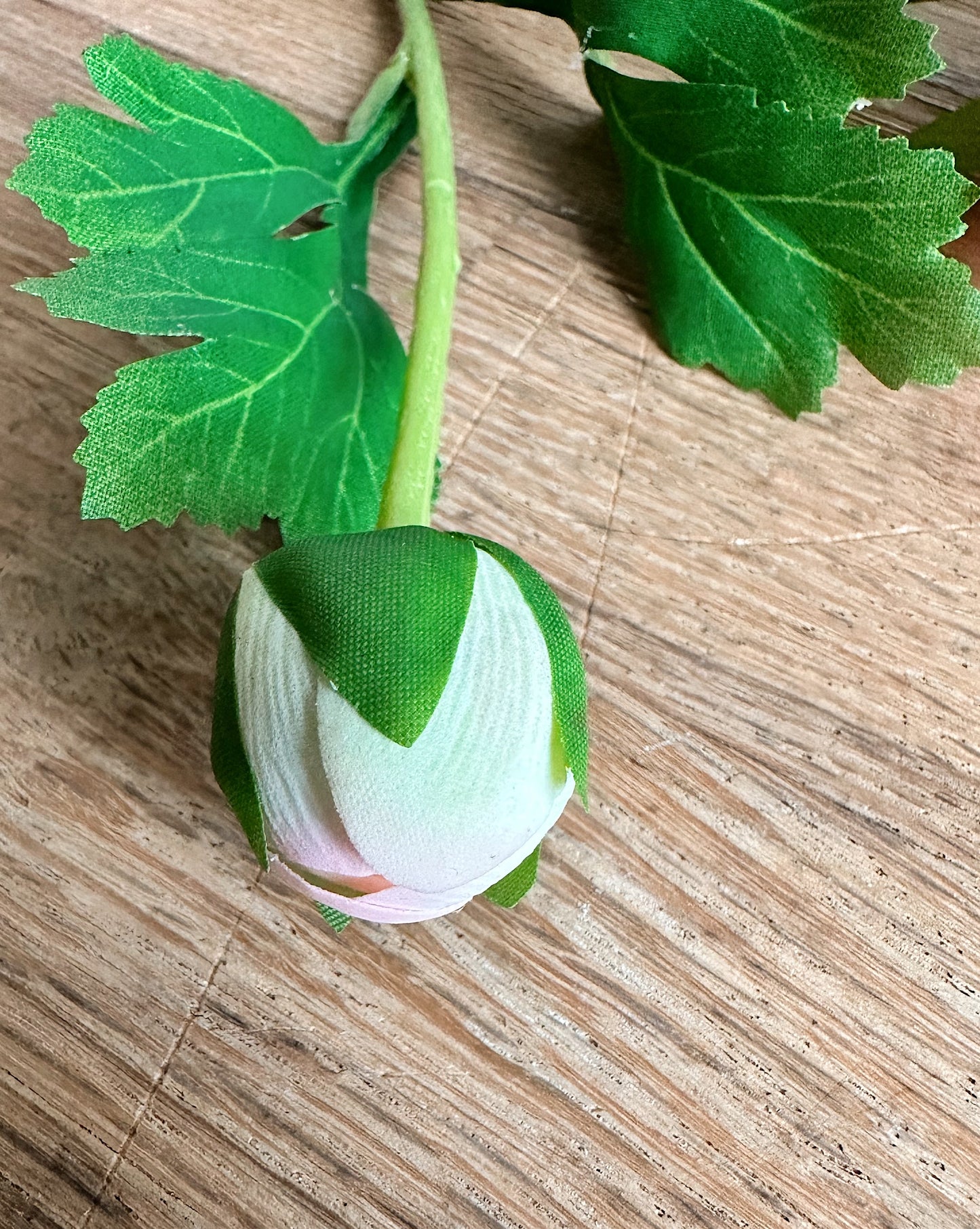 18” Soft Coral Peach Real Touch Ranunculus Bundle