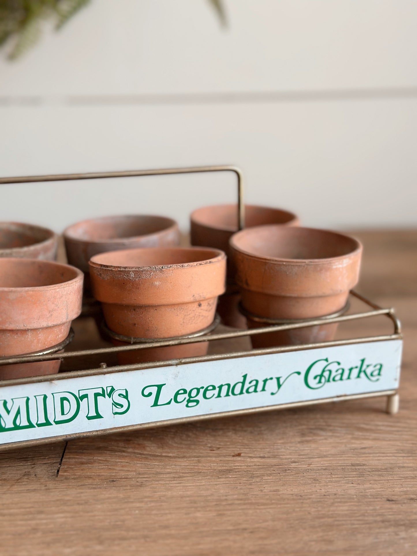 Vintage Wolfschmid’s Tray & Seedling Pots