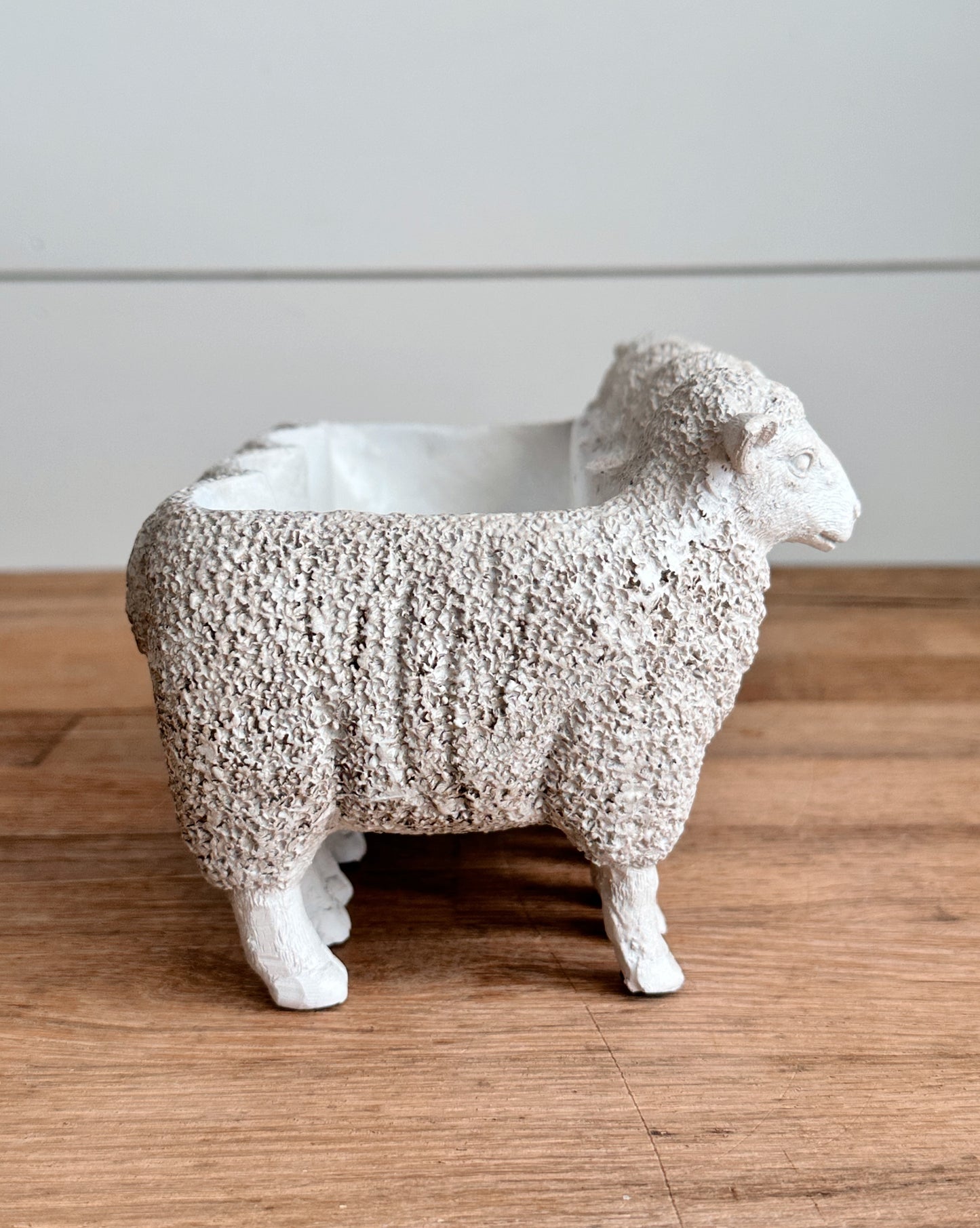 Flock of Lambs Planter