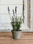 Potted Faux French Lavender