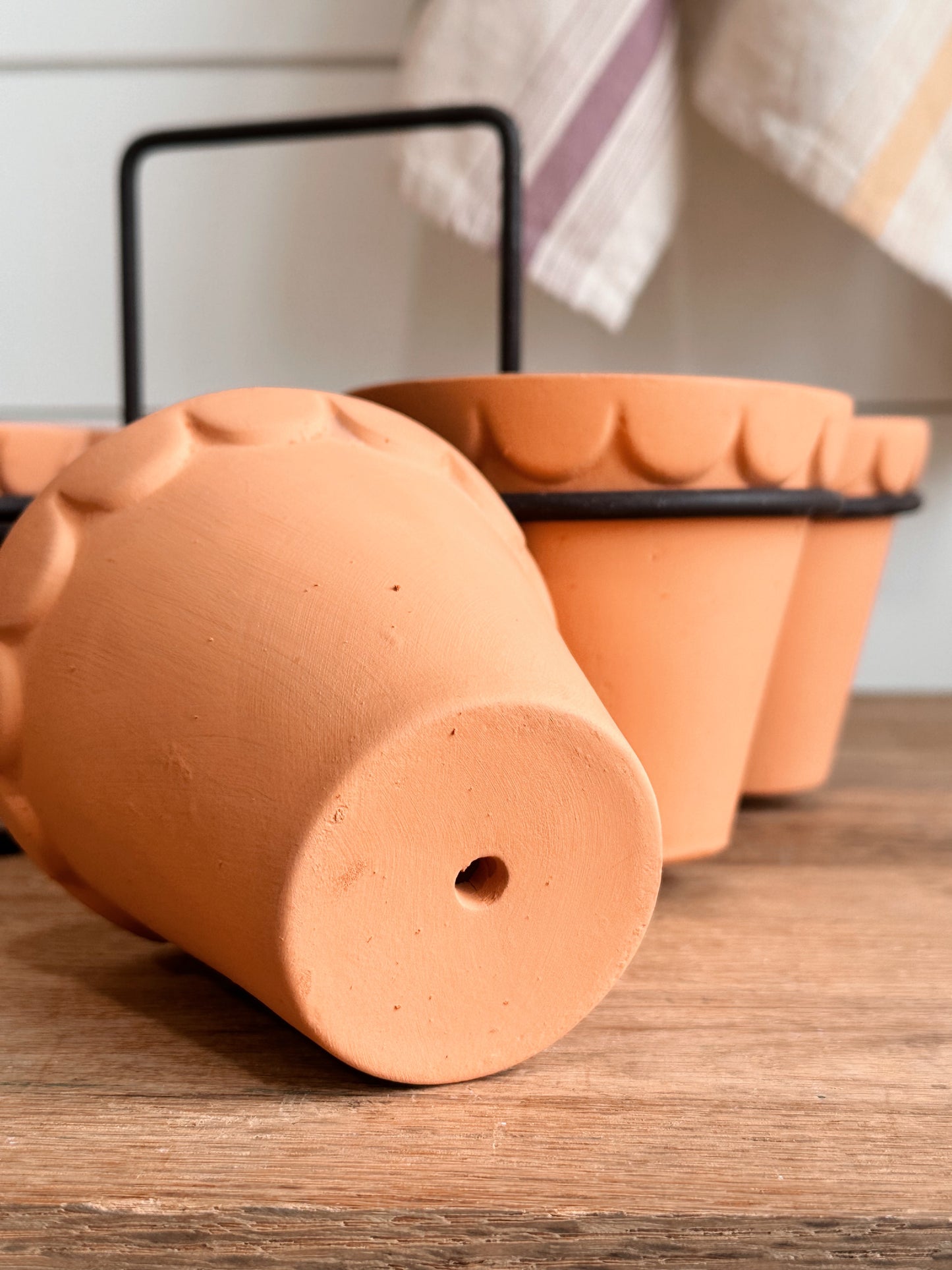 Scalloped Terracotta Pot Caddy
