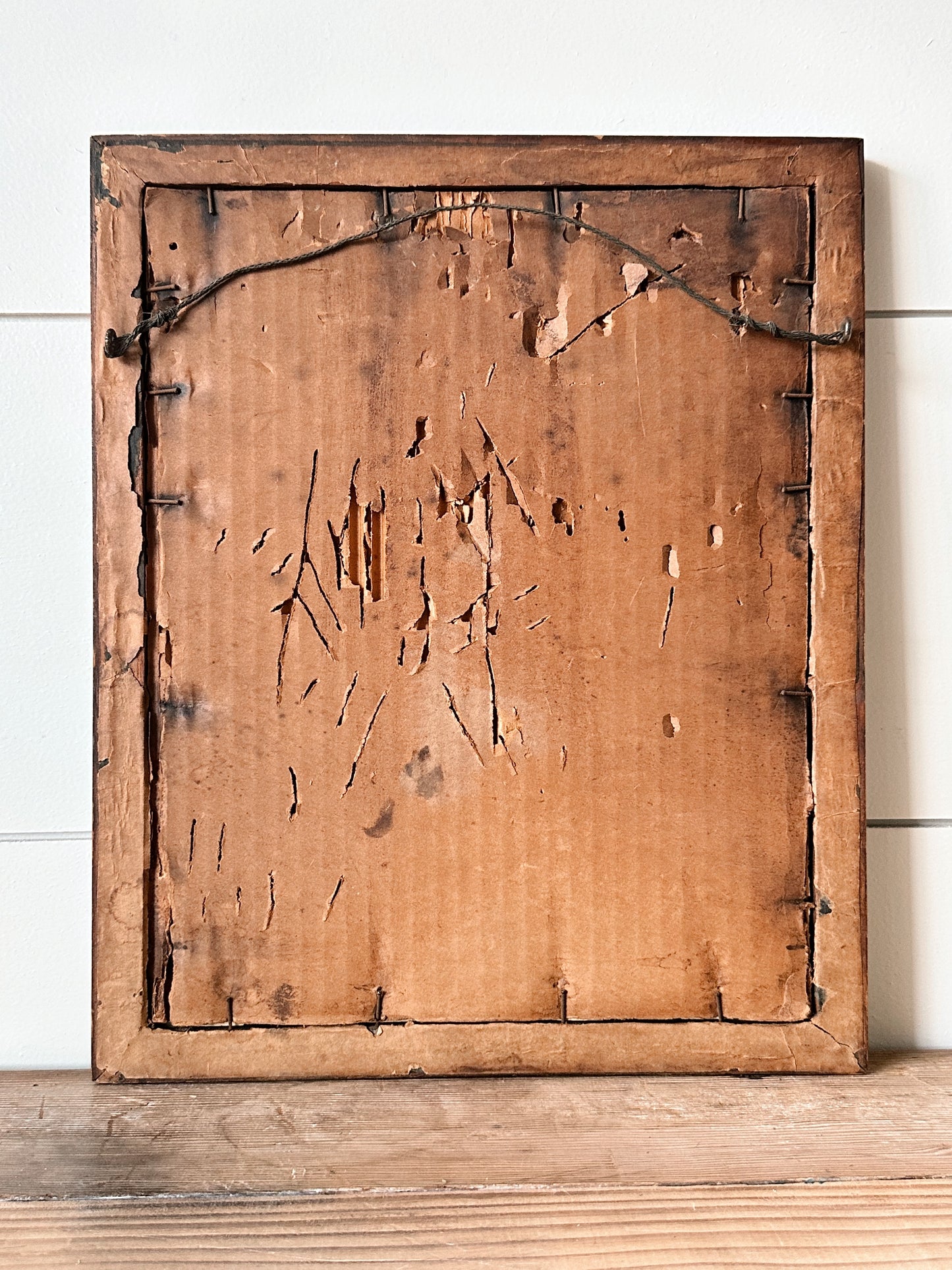 Vintage Framed Bird & Botanical Print