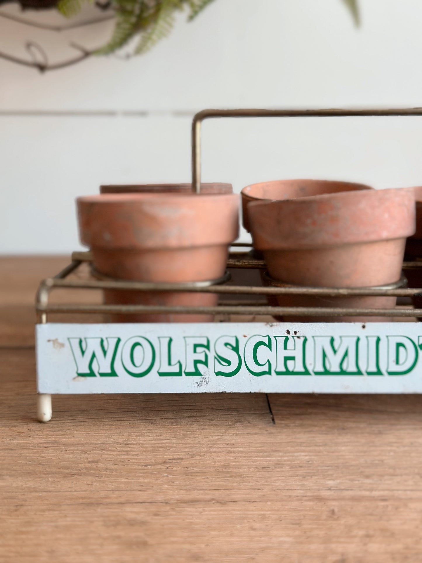 Vintage Wolfschmid’s Tray & Seedling Pots