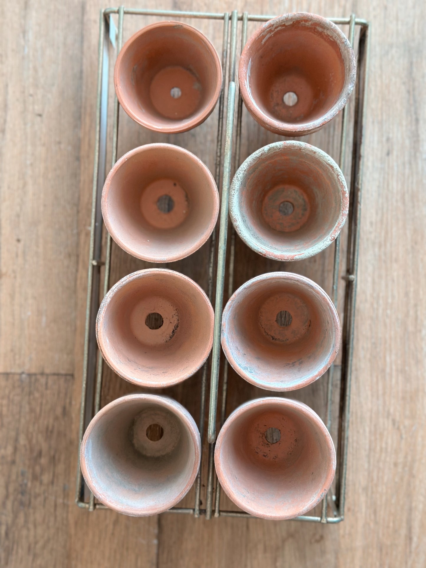 Vintage Wolfschmid’s Tray & Seedling Pots