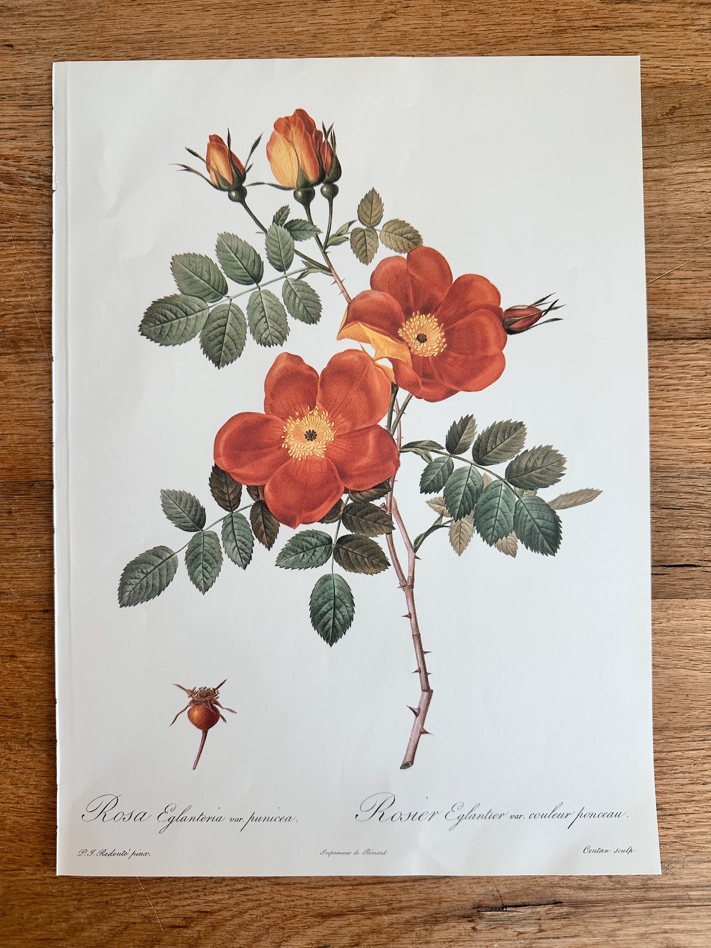 Authentic Vintage Botanicals, multiple varieties