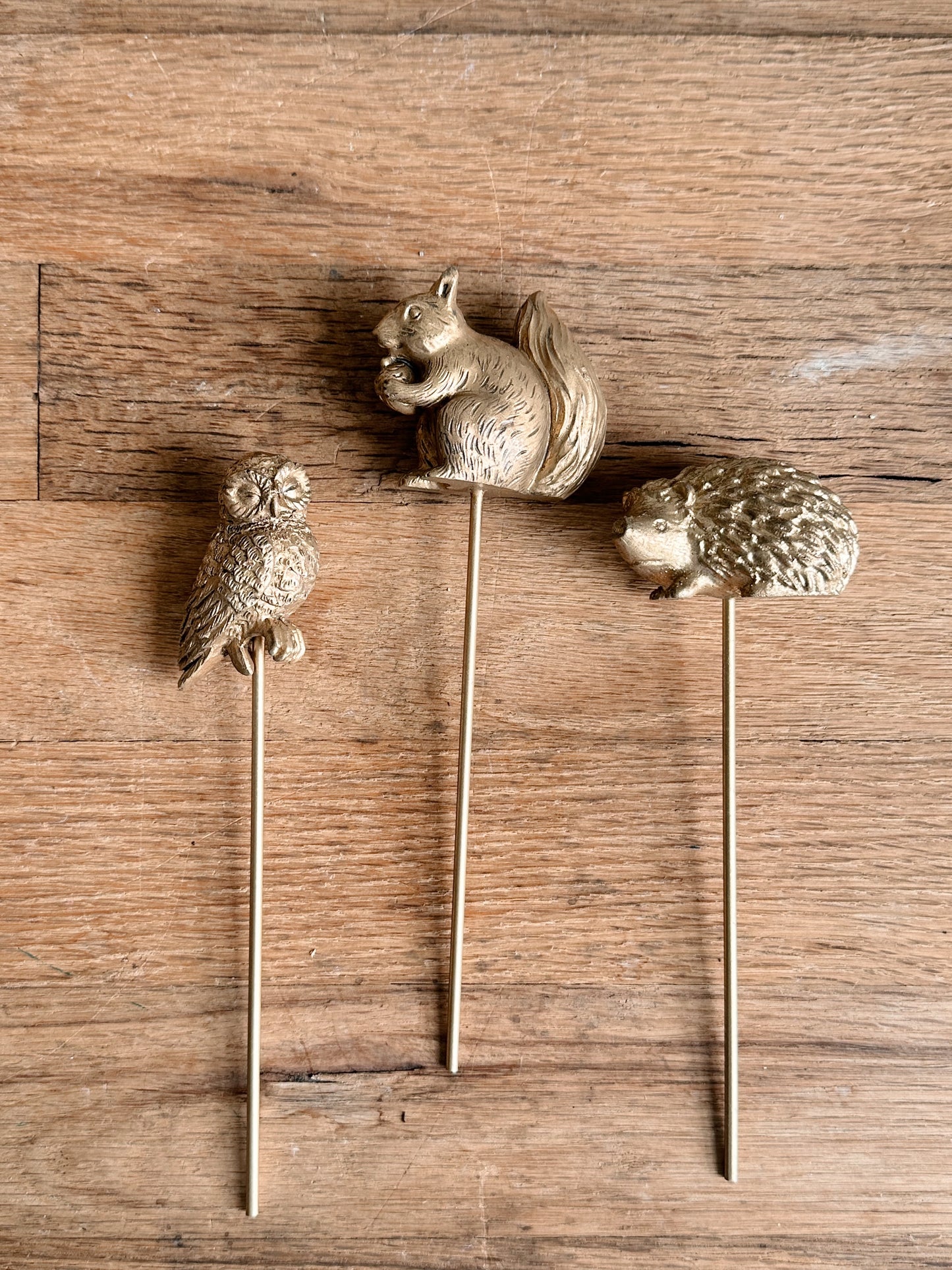 Scurry Plant Sticks