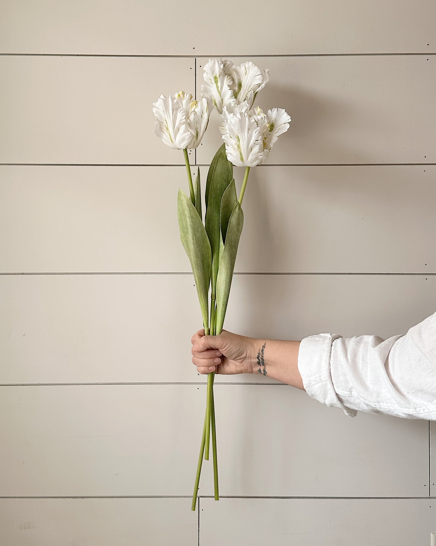 27" Soft Touch Parrot Tulip Bundle