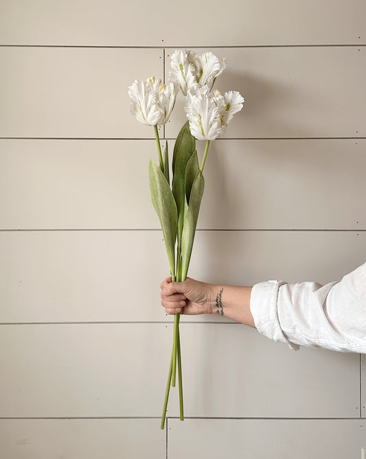 27" Soft Touch Parrot Tulip Bundle