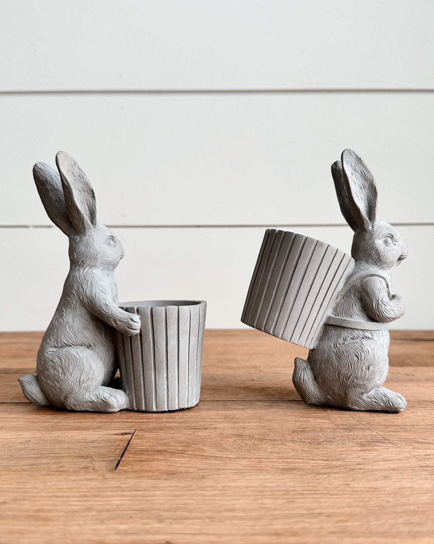 Bunnies with Buckets