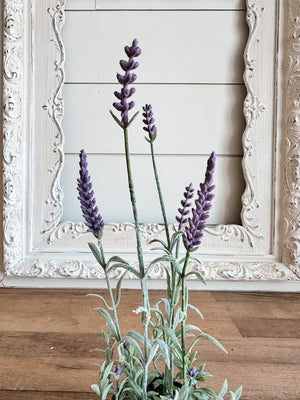 Faux French Lavender Drop-In