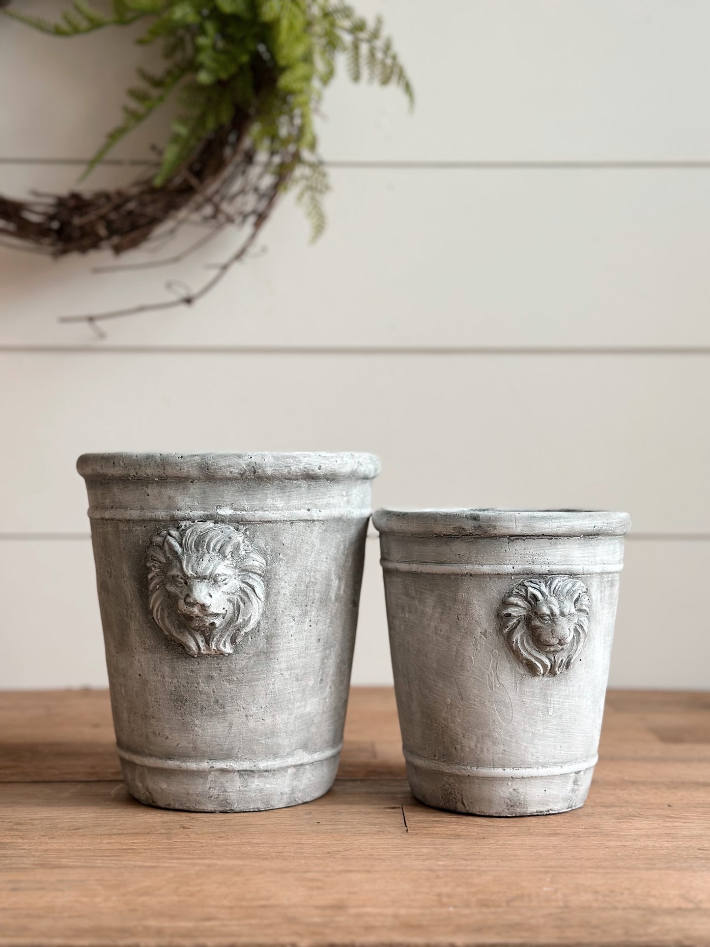 European Inspired Lion Planter