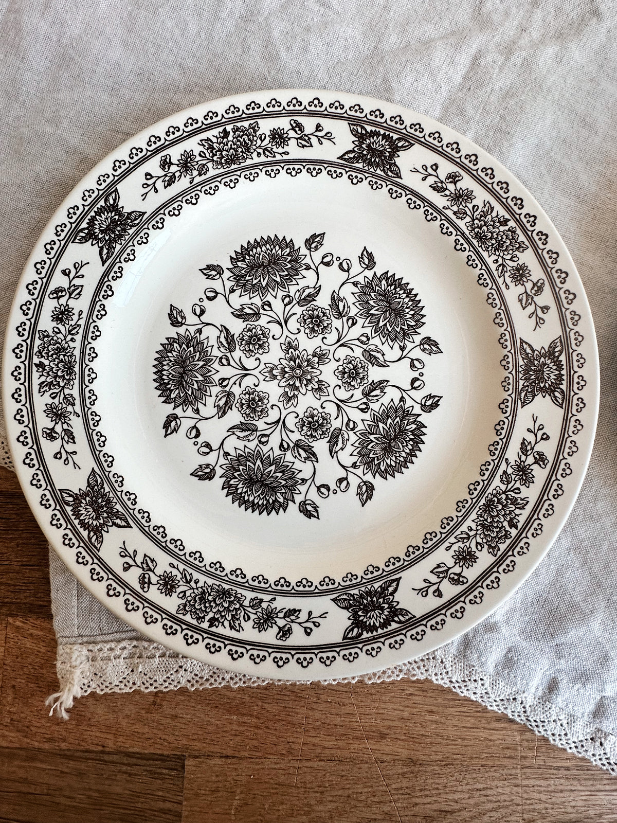 Pair of Vintage Vendome Transferware Dinner Plates