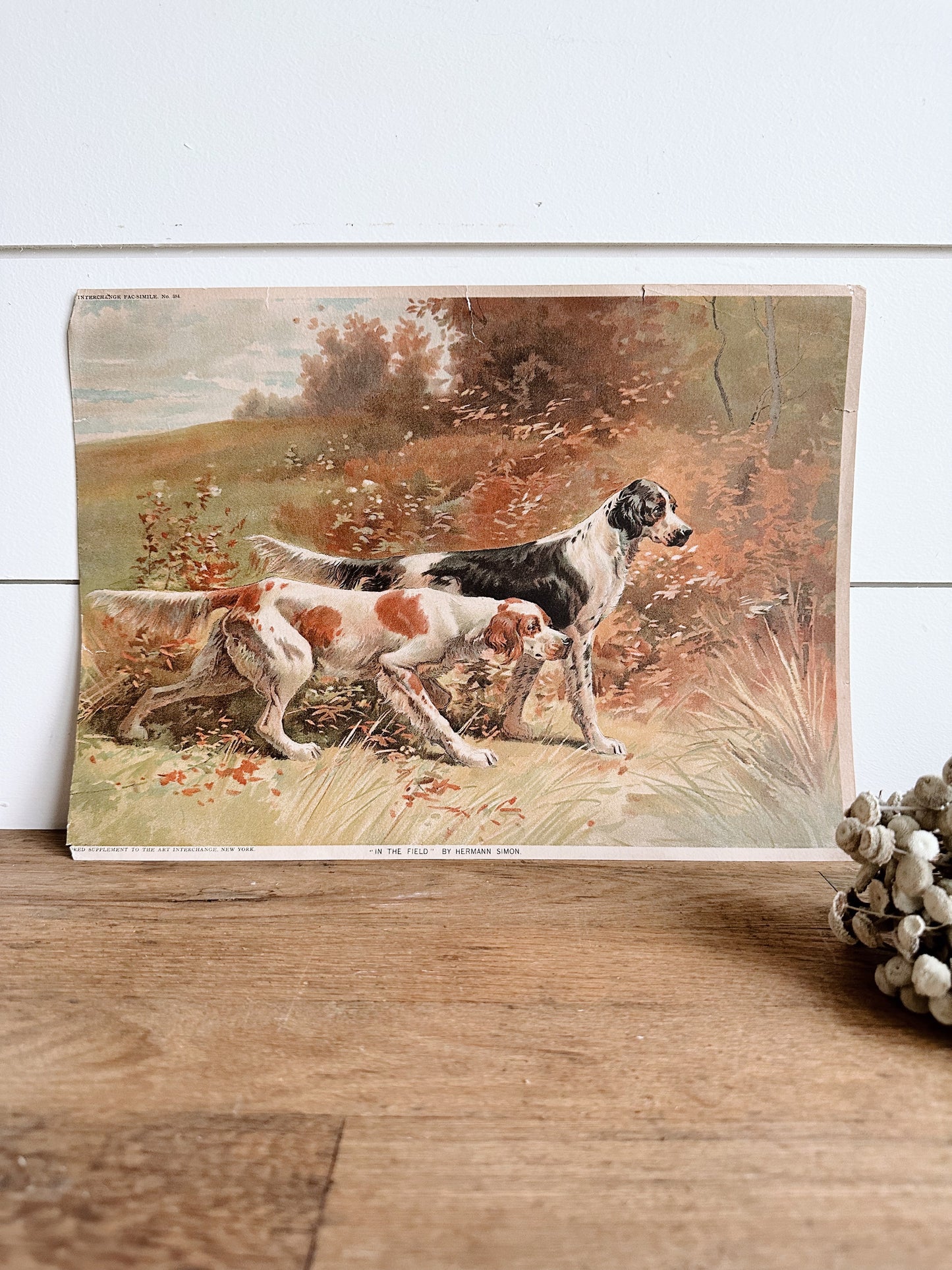 Vintage Dog Print