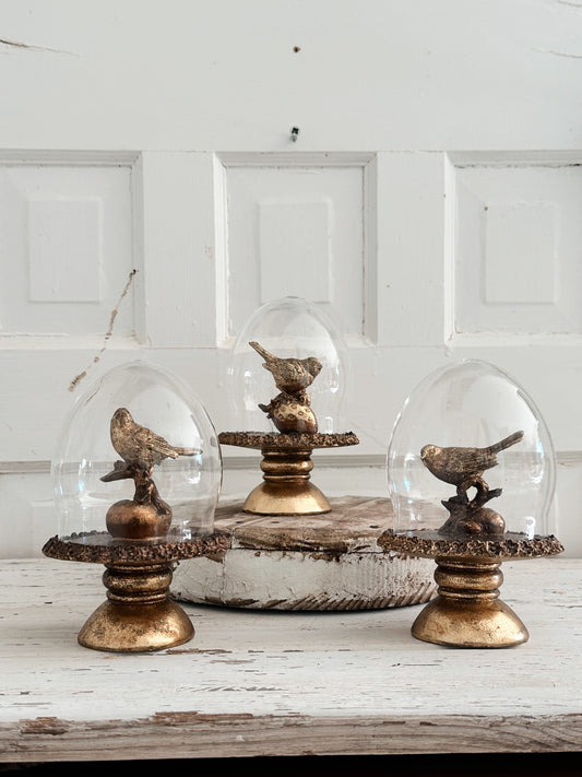 Golden Bird Cloche
