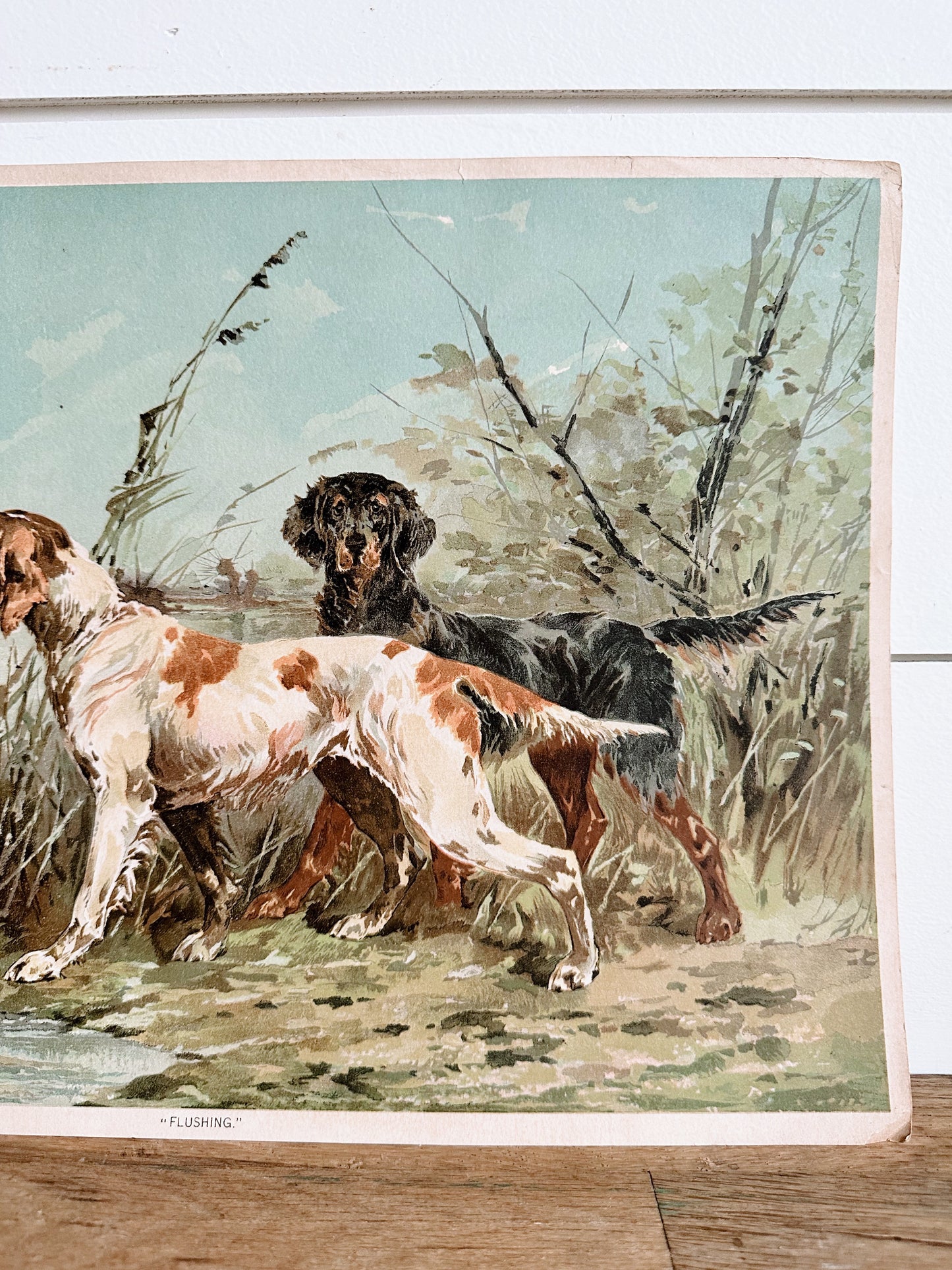 Vintage Dog Print