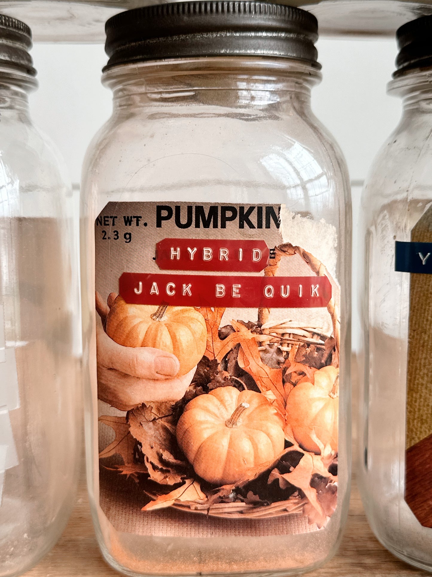 Vintage Seed Jars