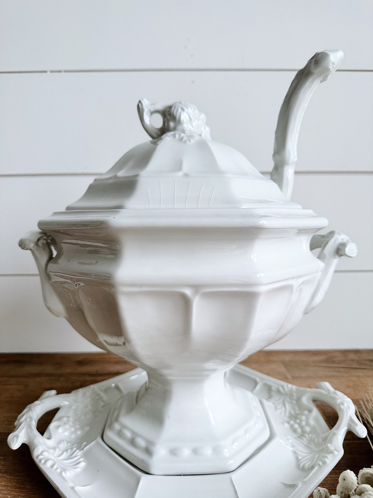 Gorgeous Vintage Red Cliff Ironstone Tureen (complete set)