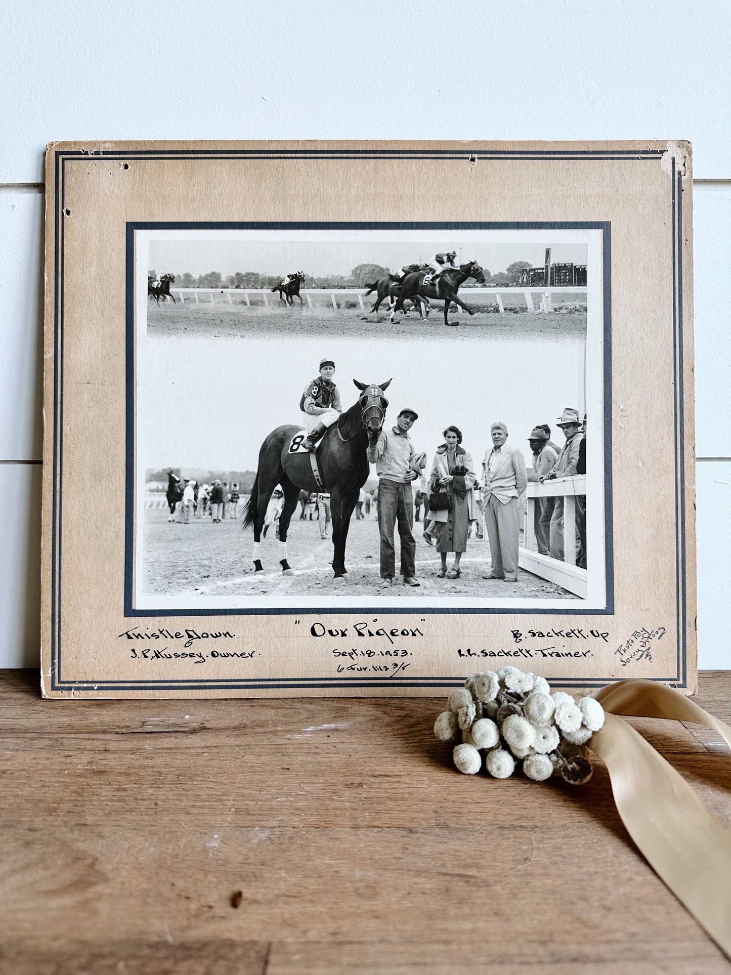 Vintage 1953 Derby Photo (Our Pigeon)