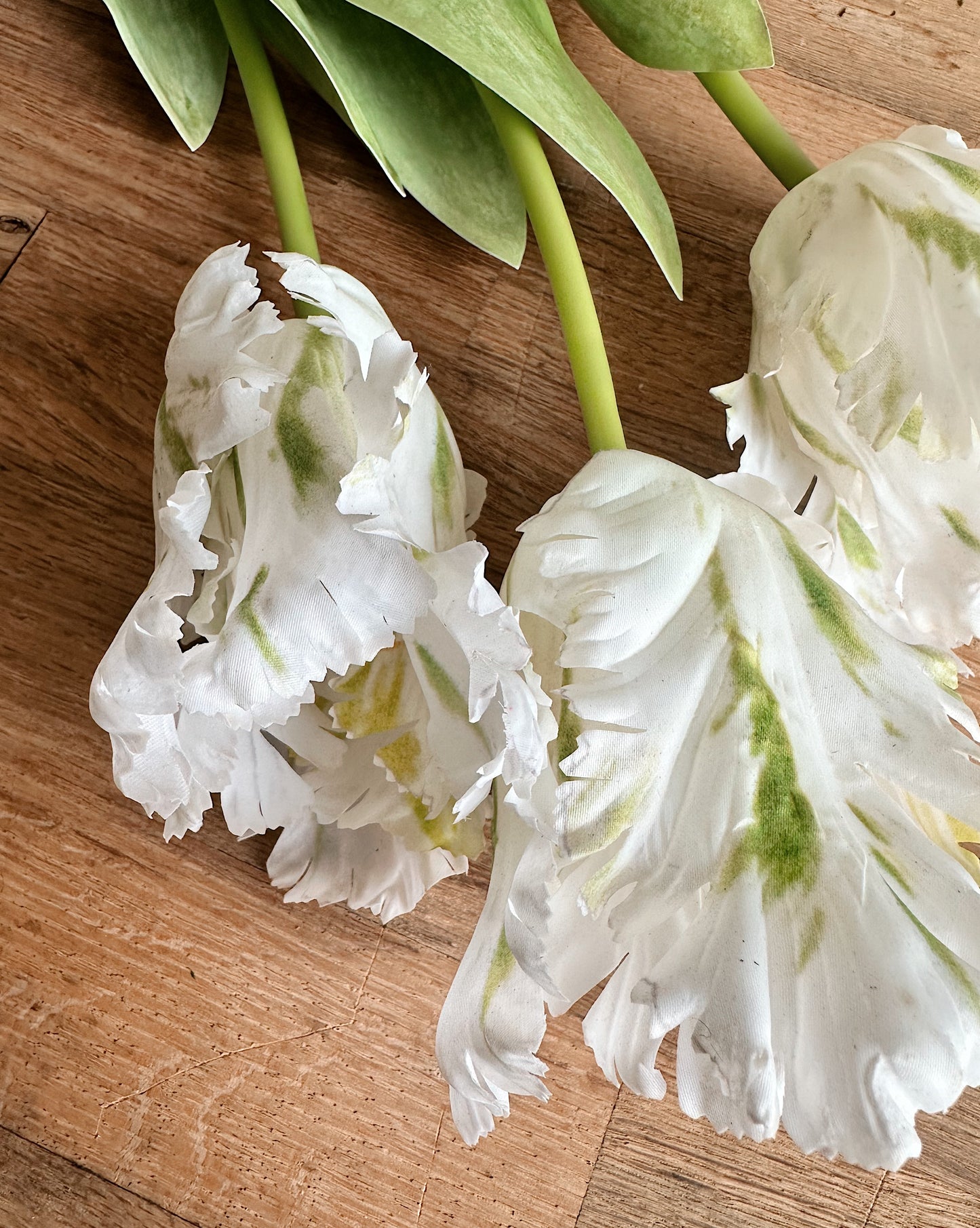 27" Soft Touch Parrot Tulip Bundle