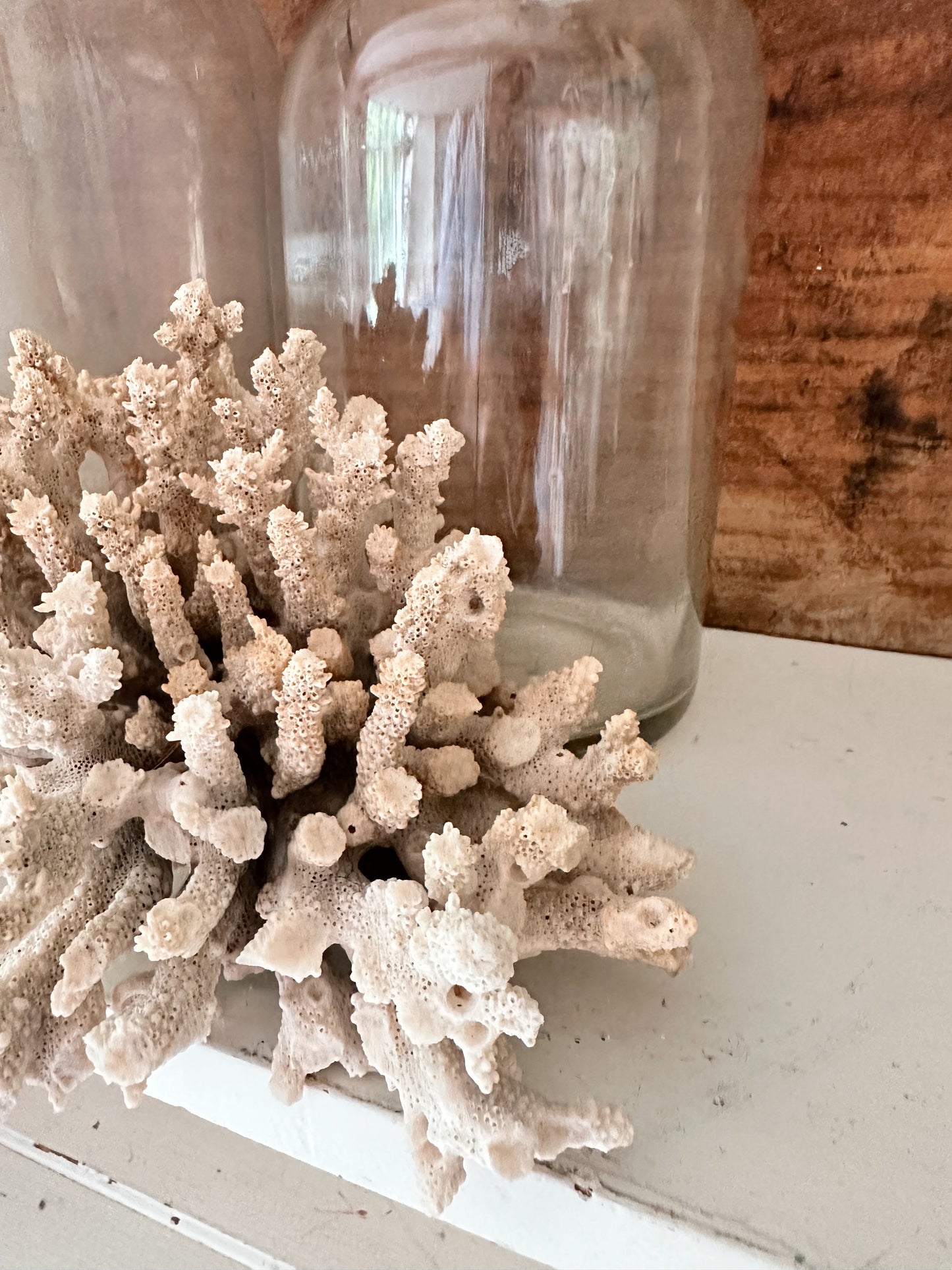 Large Natural Coral Piece