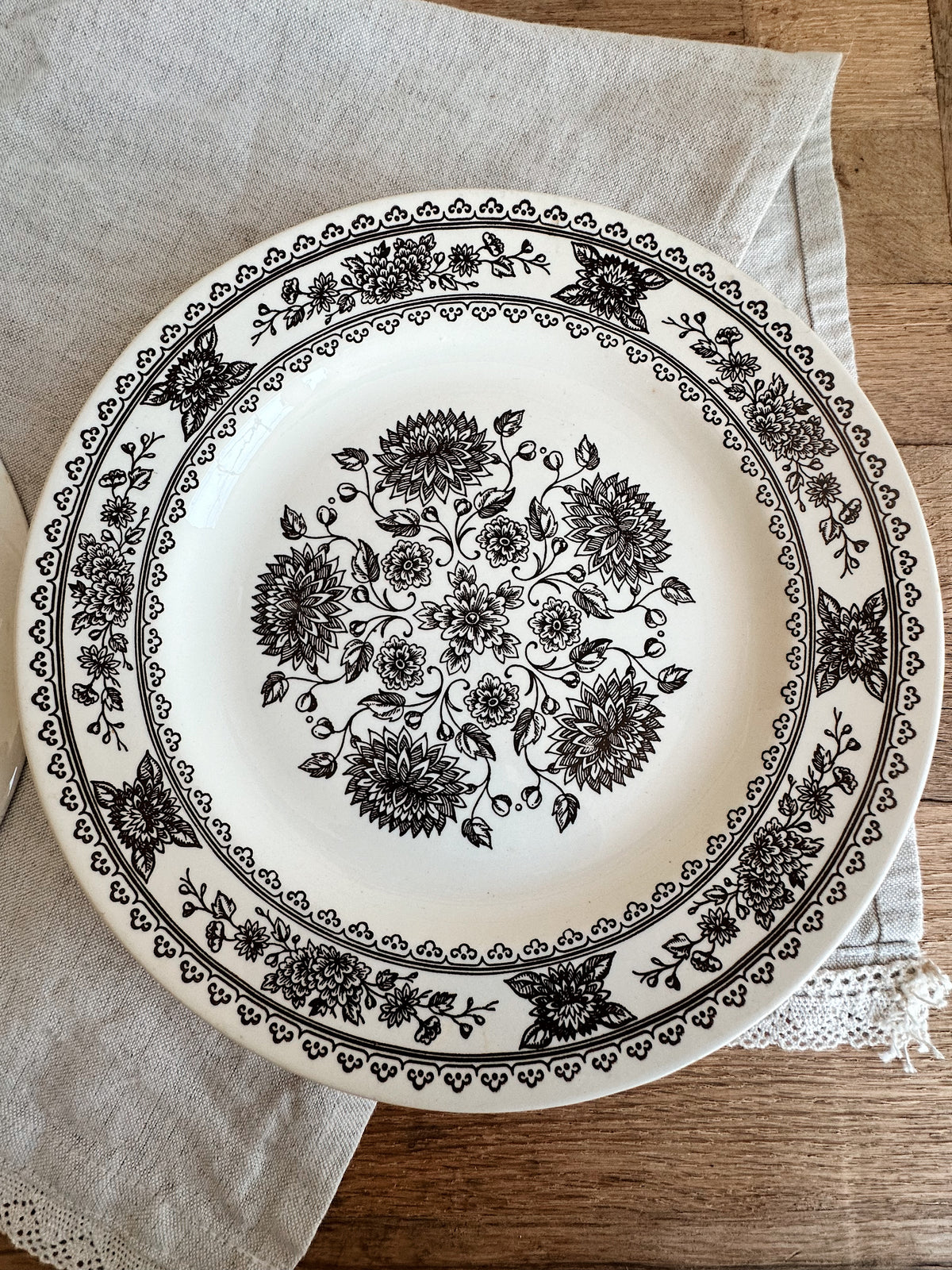 Pair of Vintage Vendome Transferware Dinner Plates