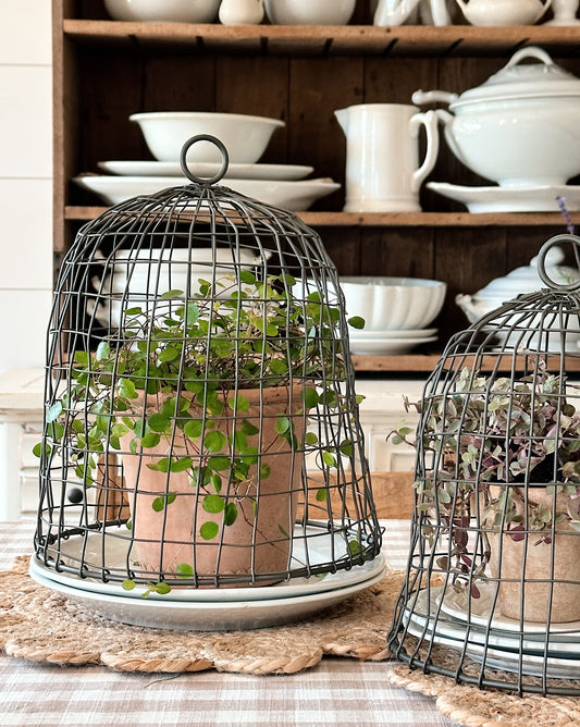 Wire Garden Cloche Set