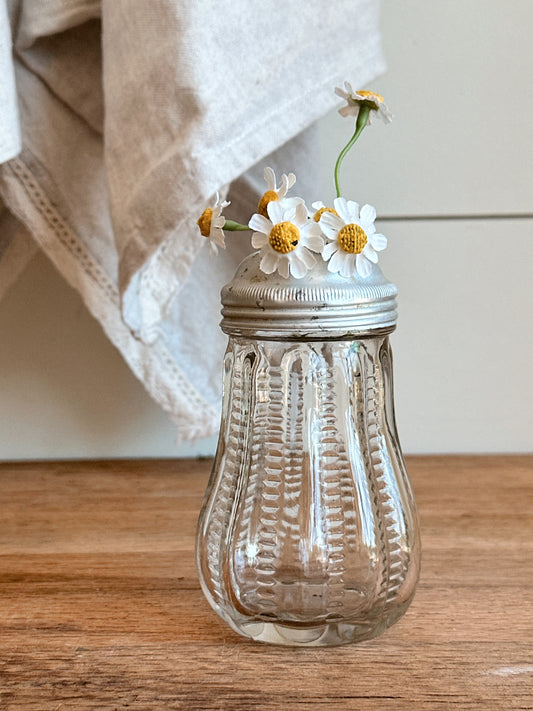 Vintage Glass Shaker