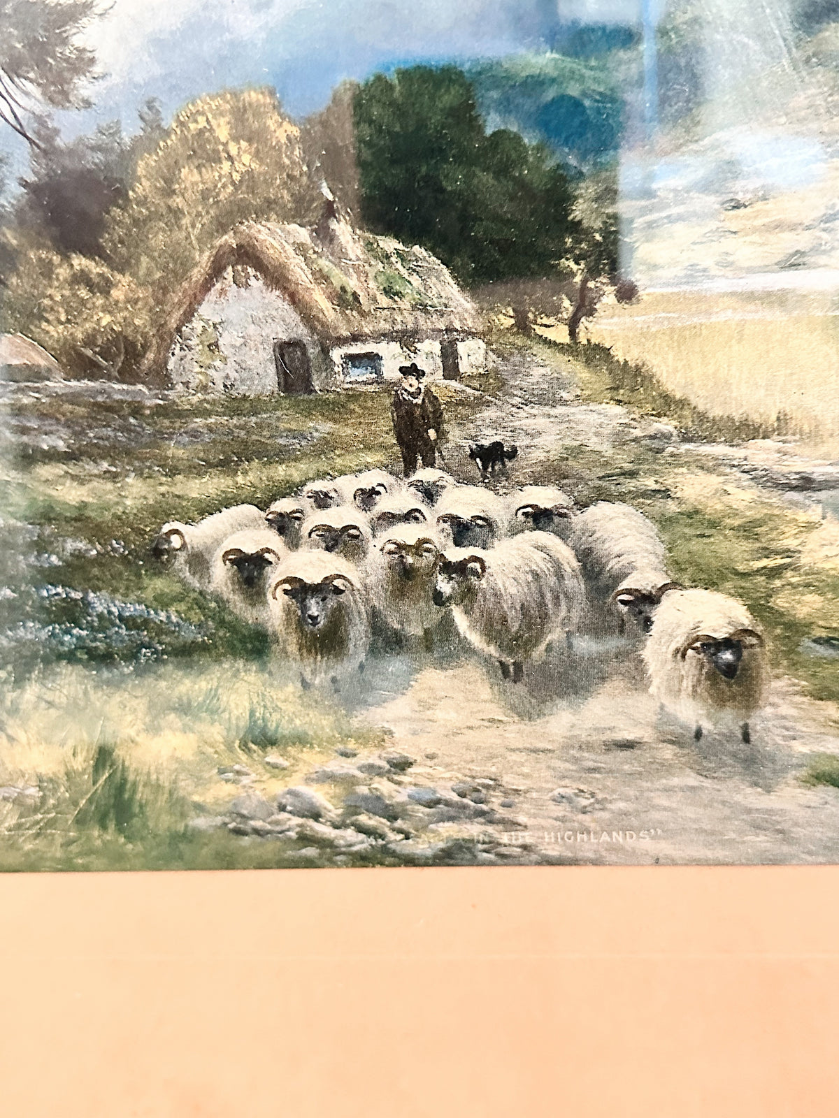 Vintage Sheep & Shepherd Print, The Highlands copyright 1916