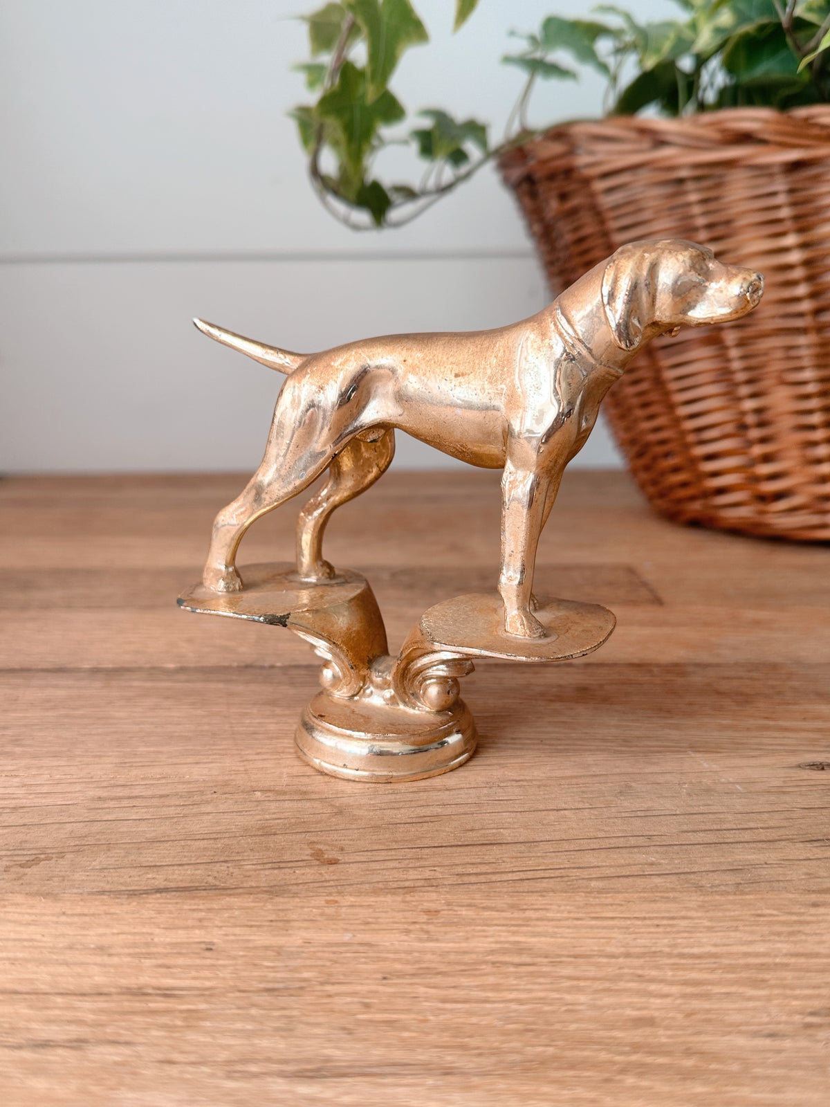 Vintage Dog Show Trophy Top