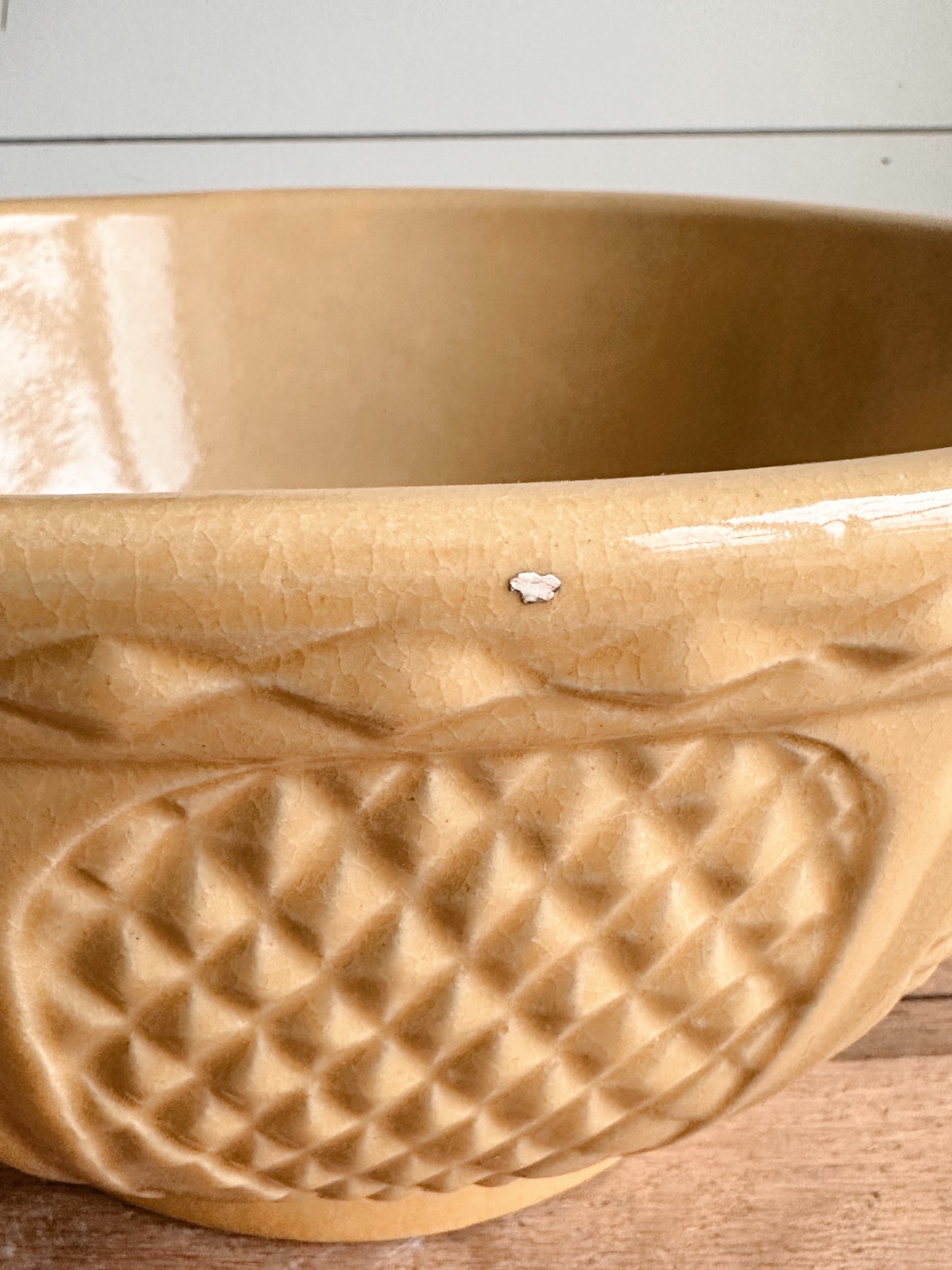 Beautiful Vintage Roseville Bowl