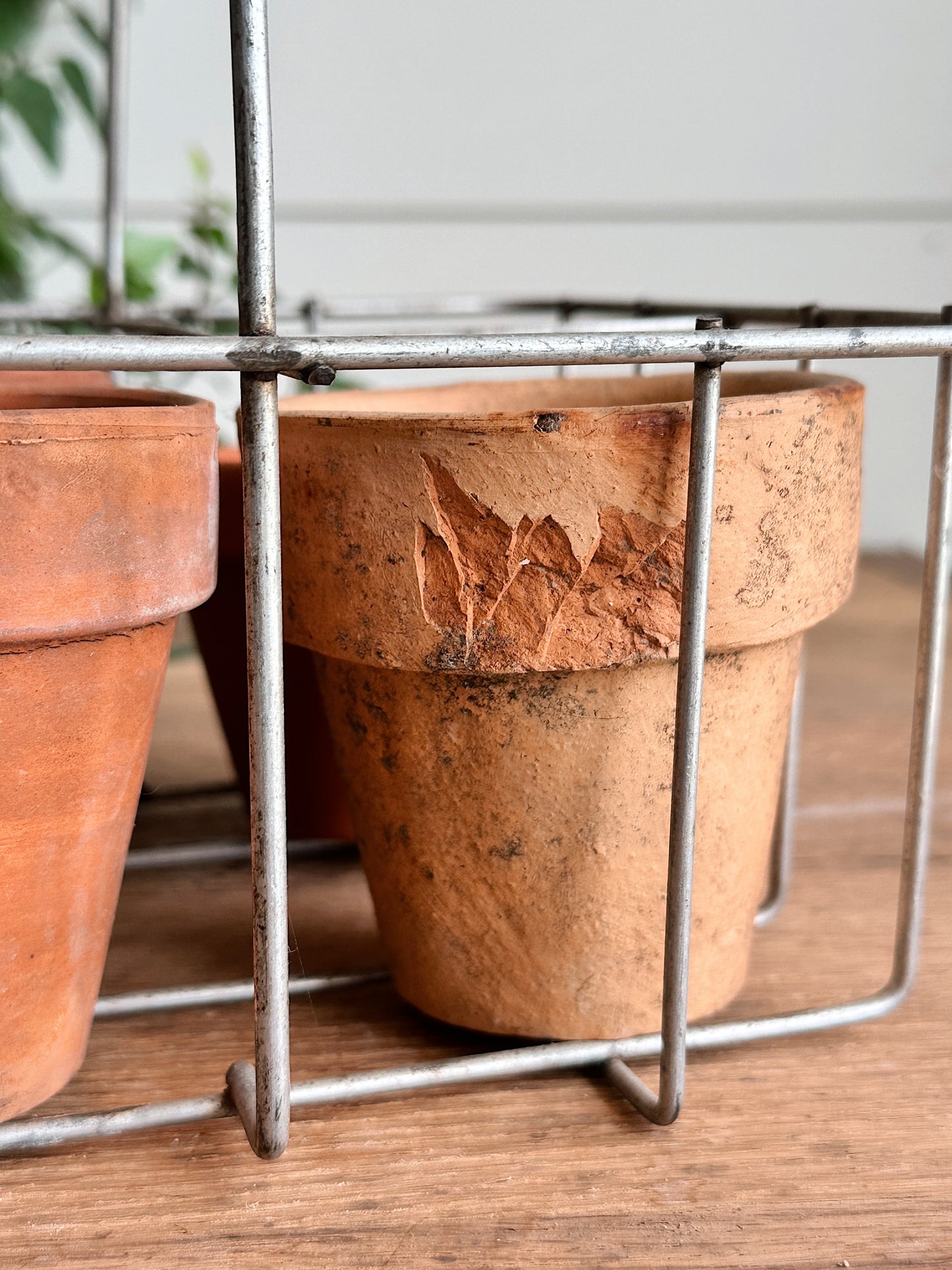 Vintage Wire Bottle Carrier & Pots
