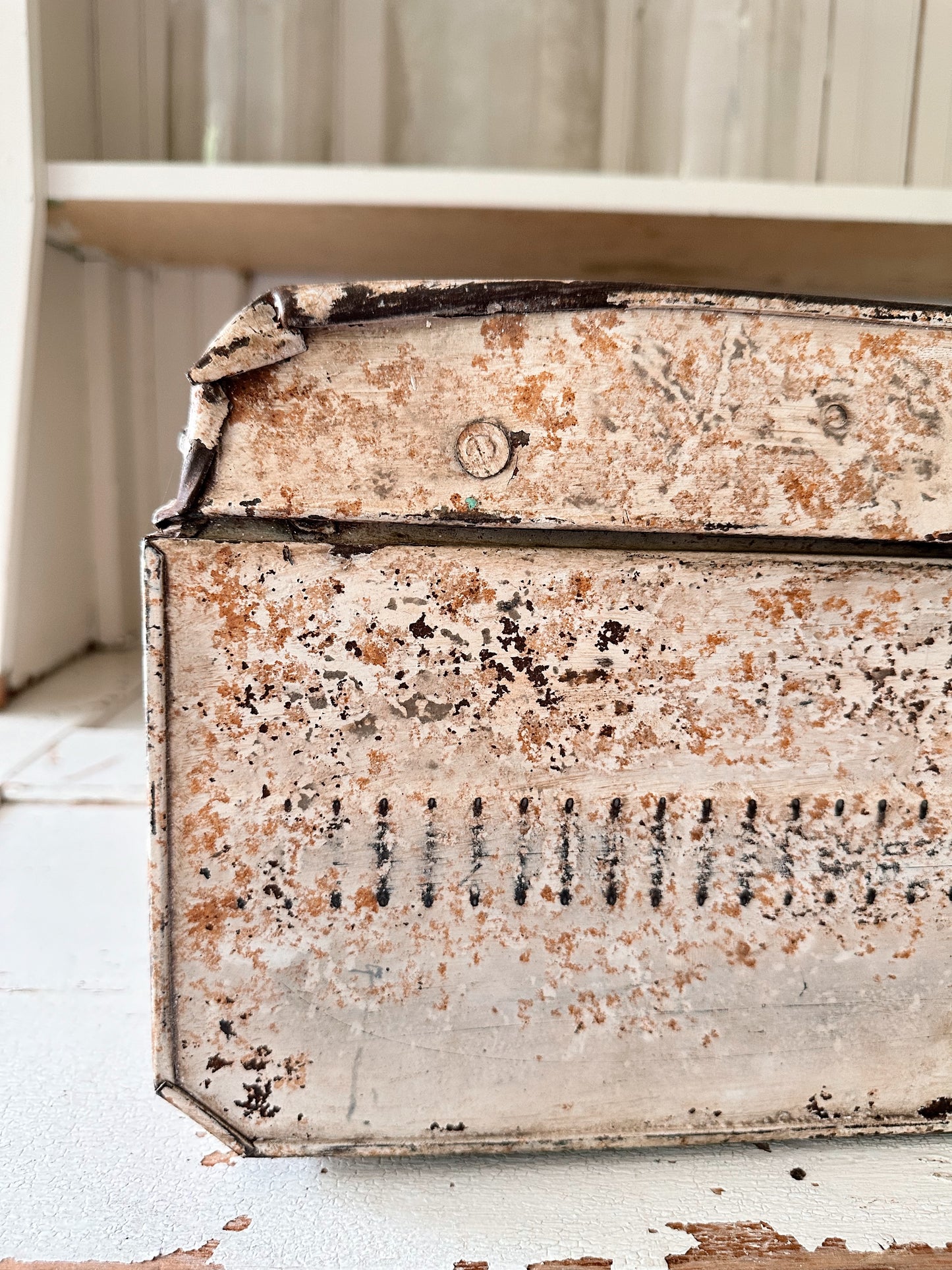 Beautiful Old Metal Trunk