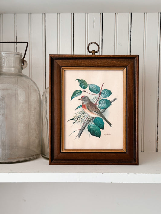 Vintage Bird Print