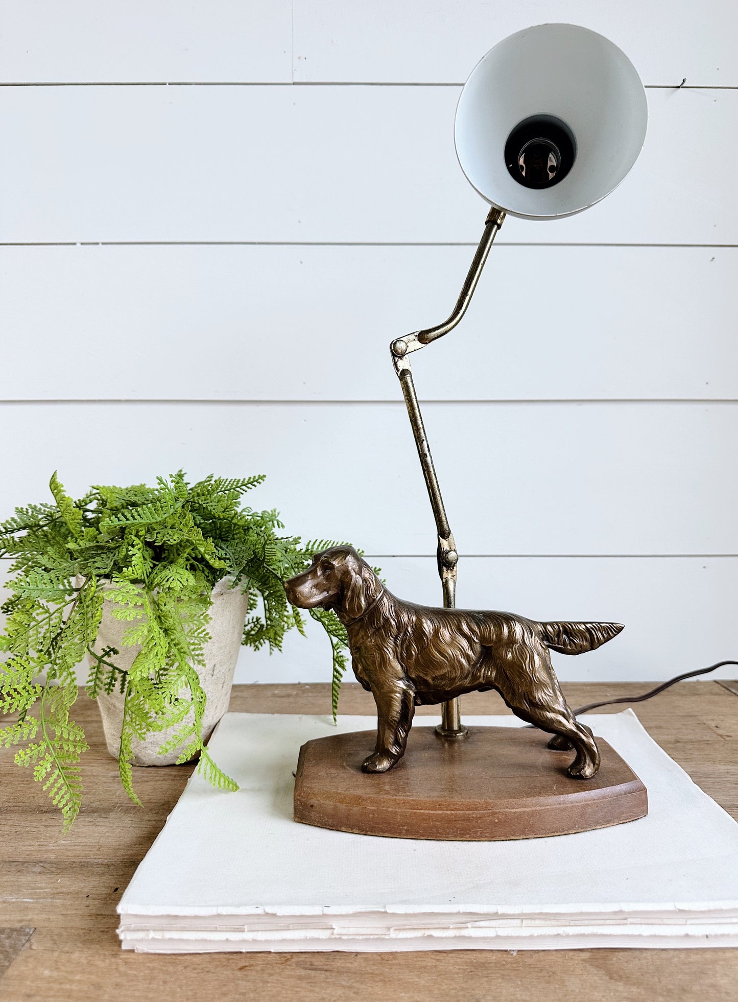 Vintage Irish Setter Lamp