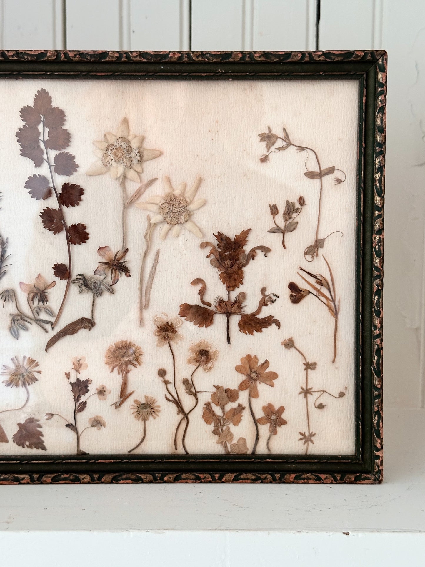 Vintage Framed Pressed Flowers (Europe 1972)