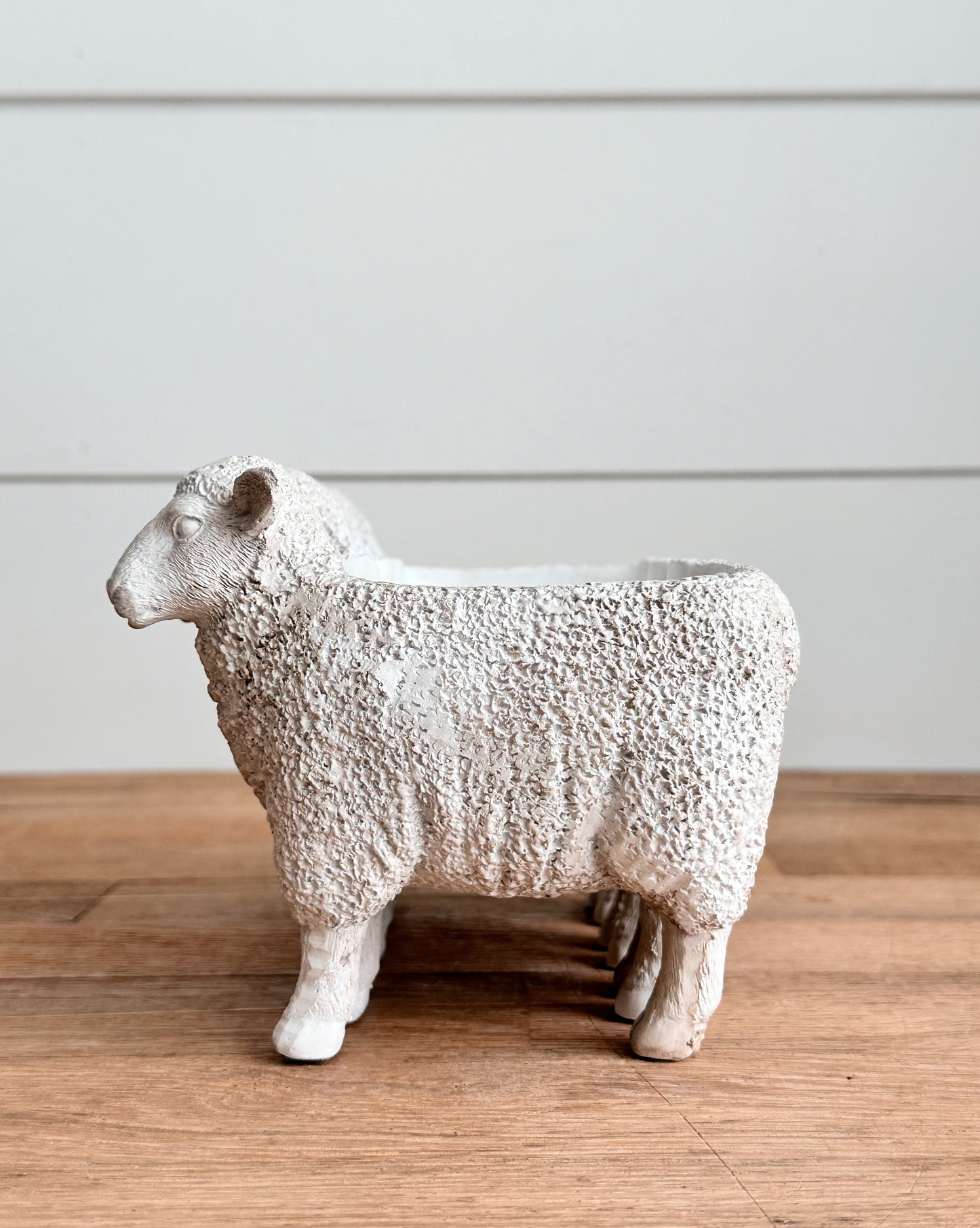 Flock of Lambs Planter