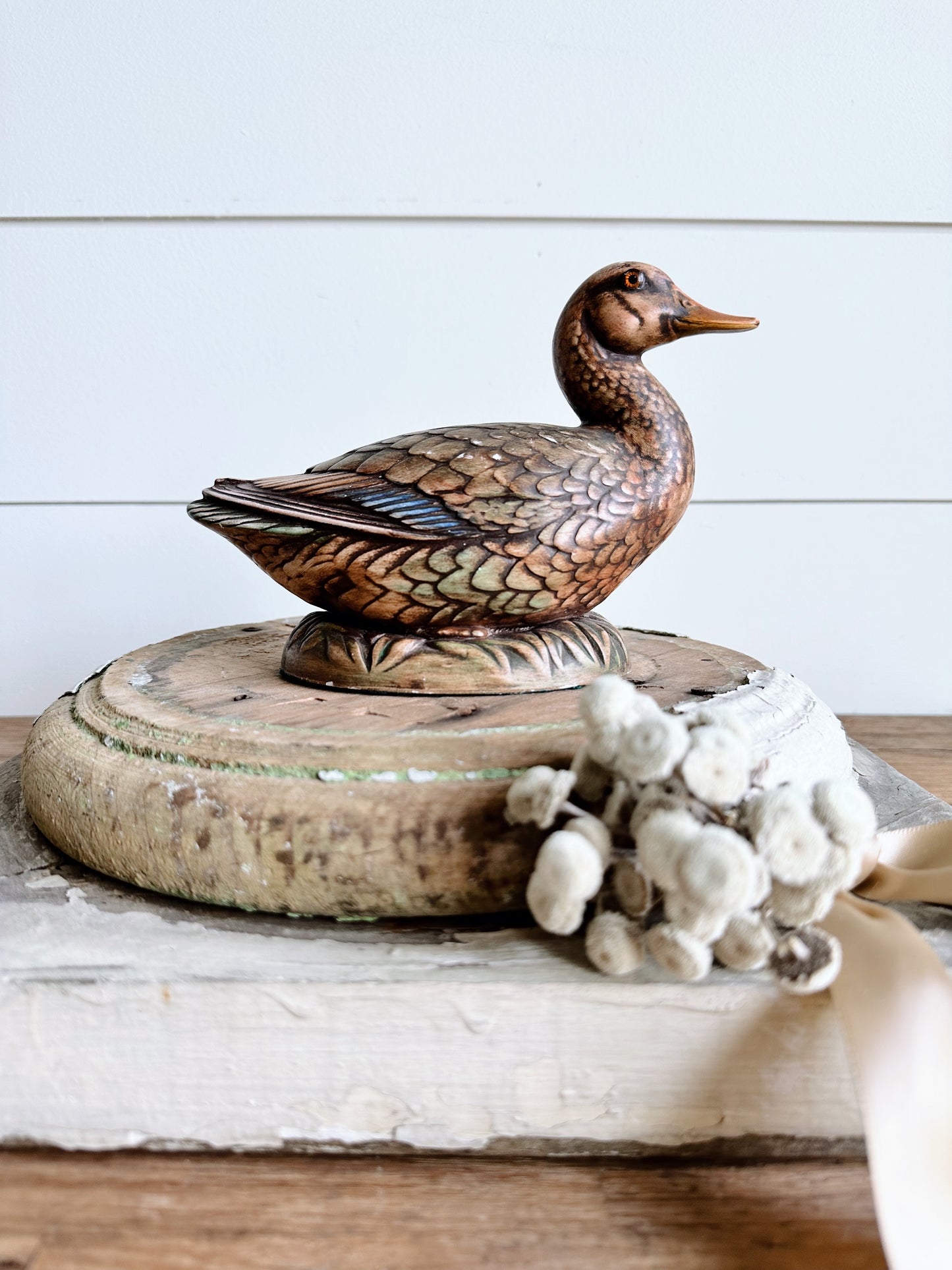 Pretty Vintage Duck